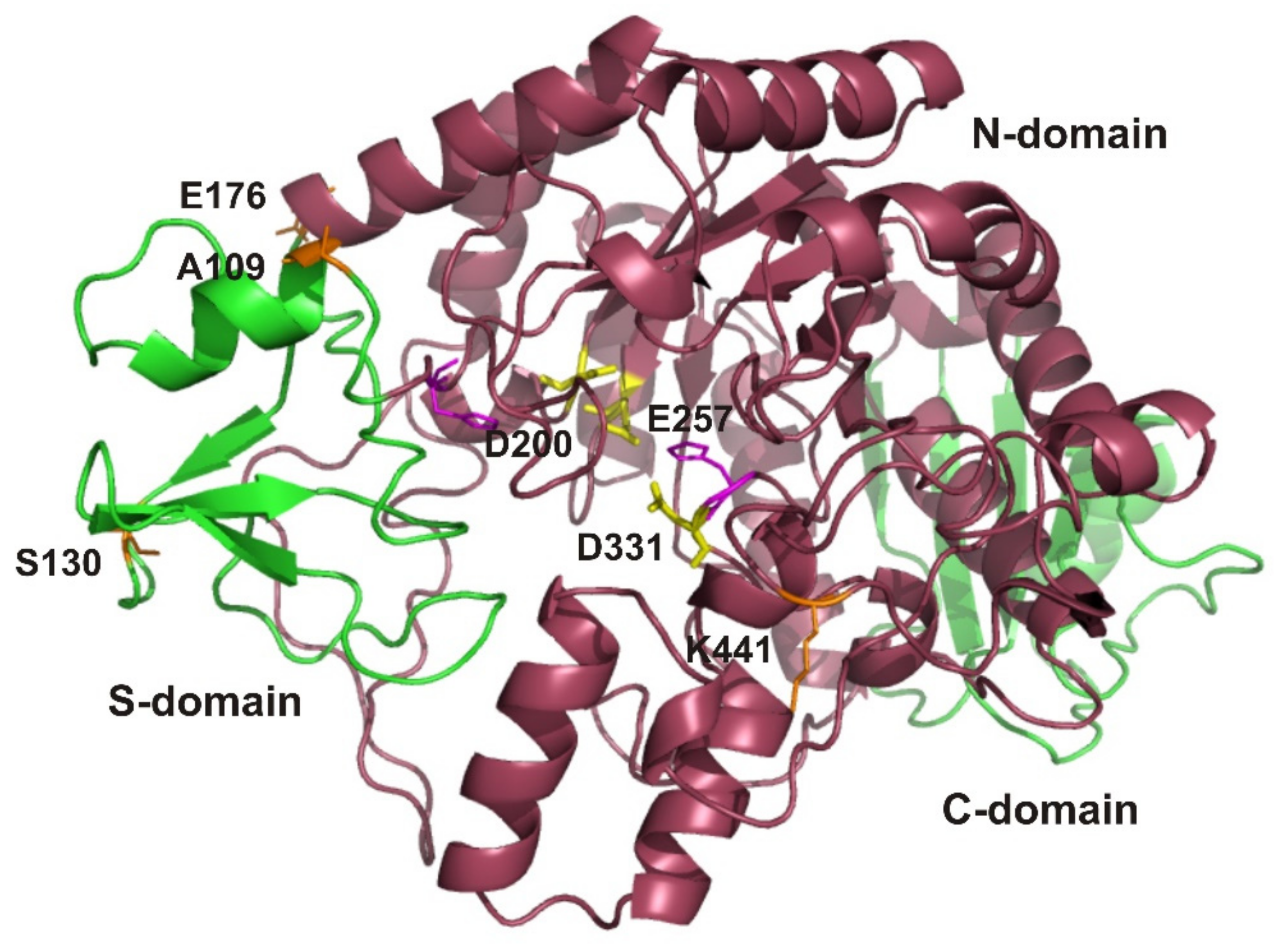 Biomolecules 11 01229 g004 Biomolecules 11 01229 g004