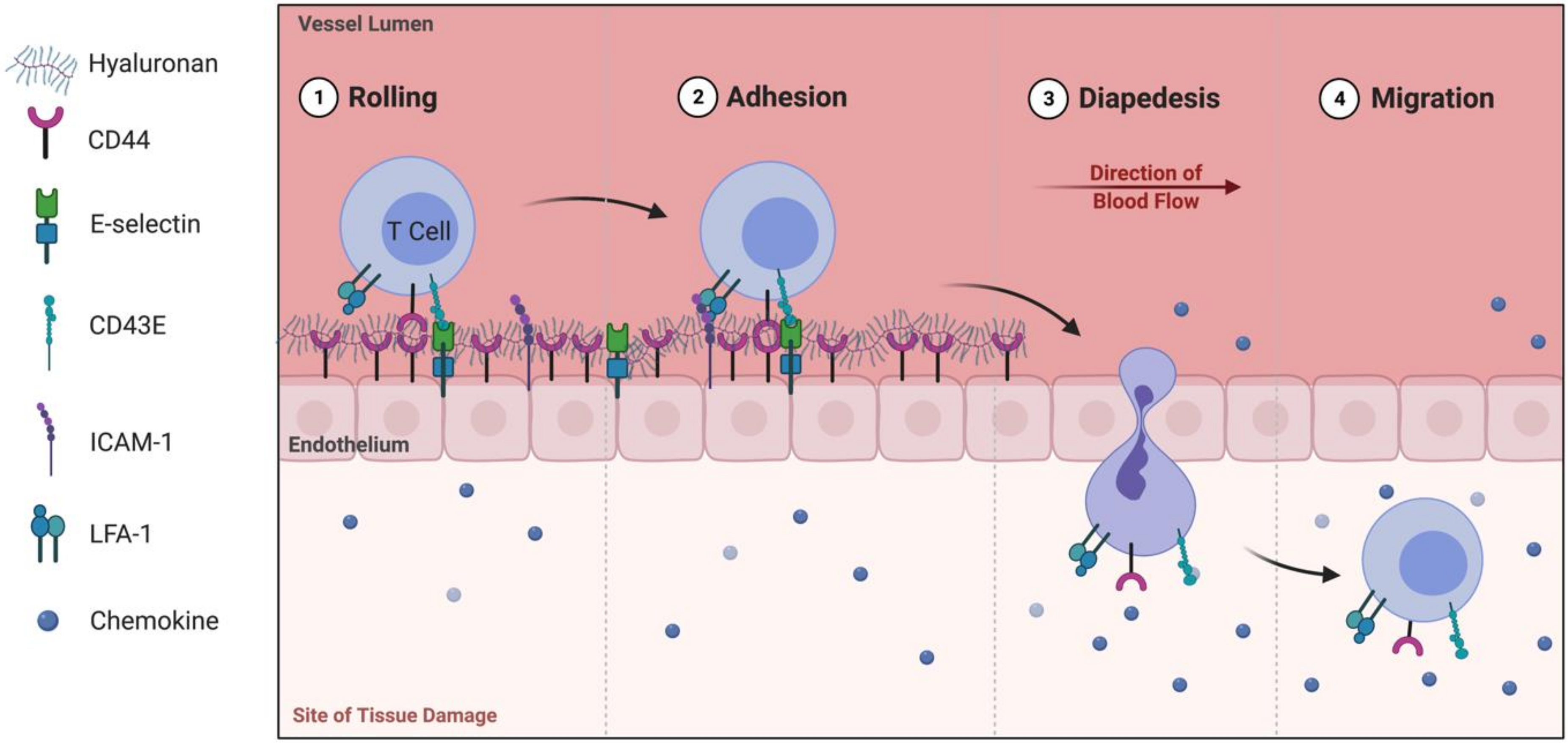 Biomolecules 11 01234 g001