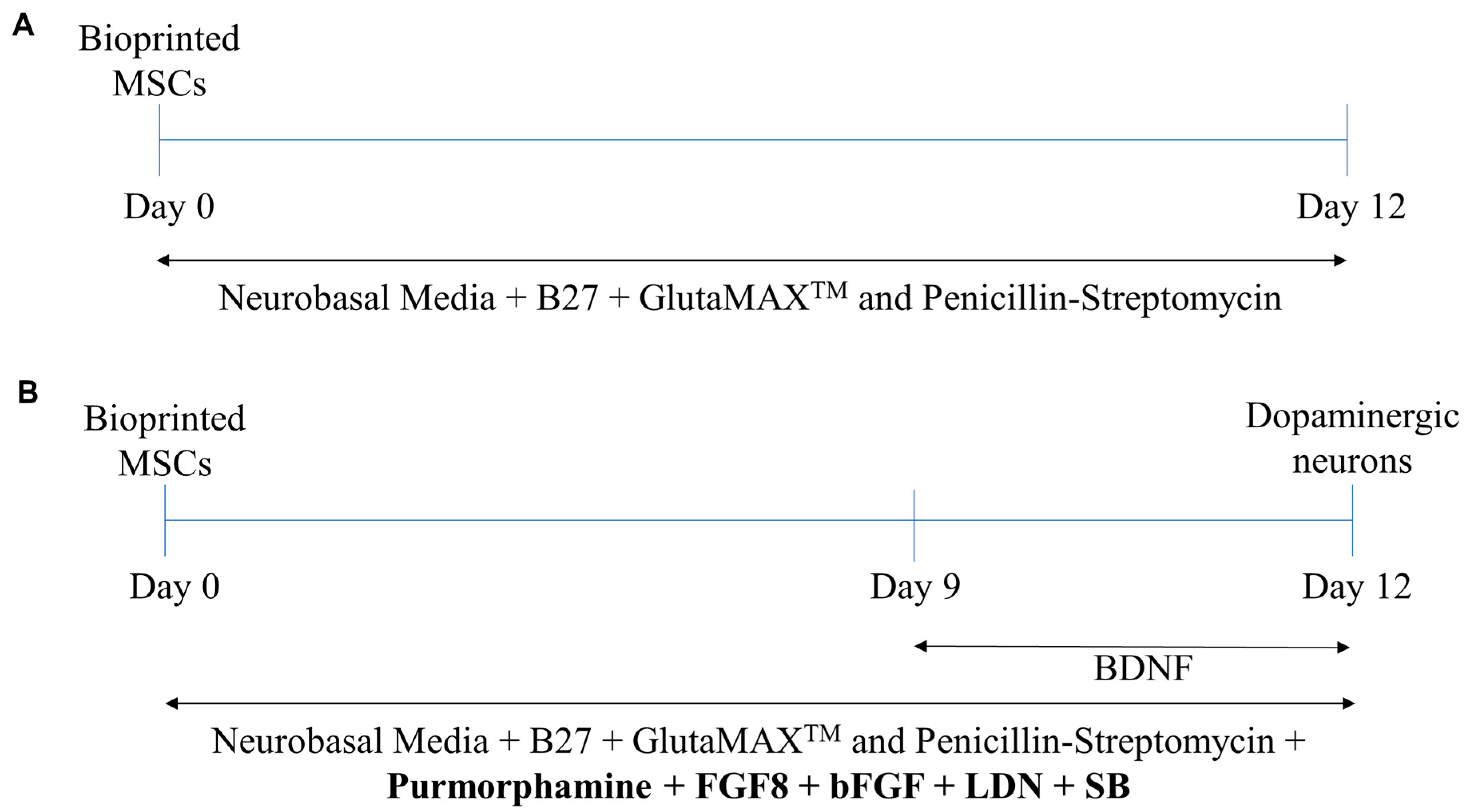 Biomolecules 11 01250 g002
