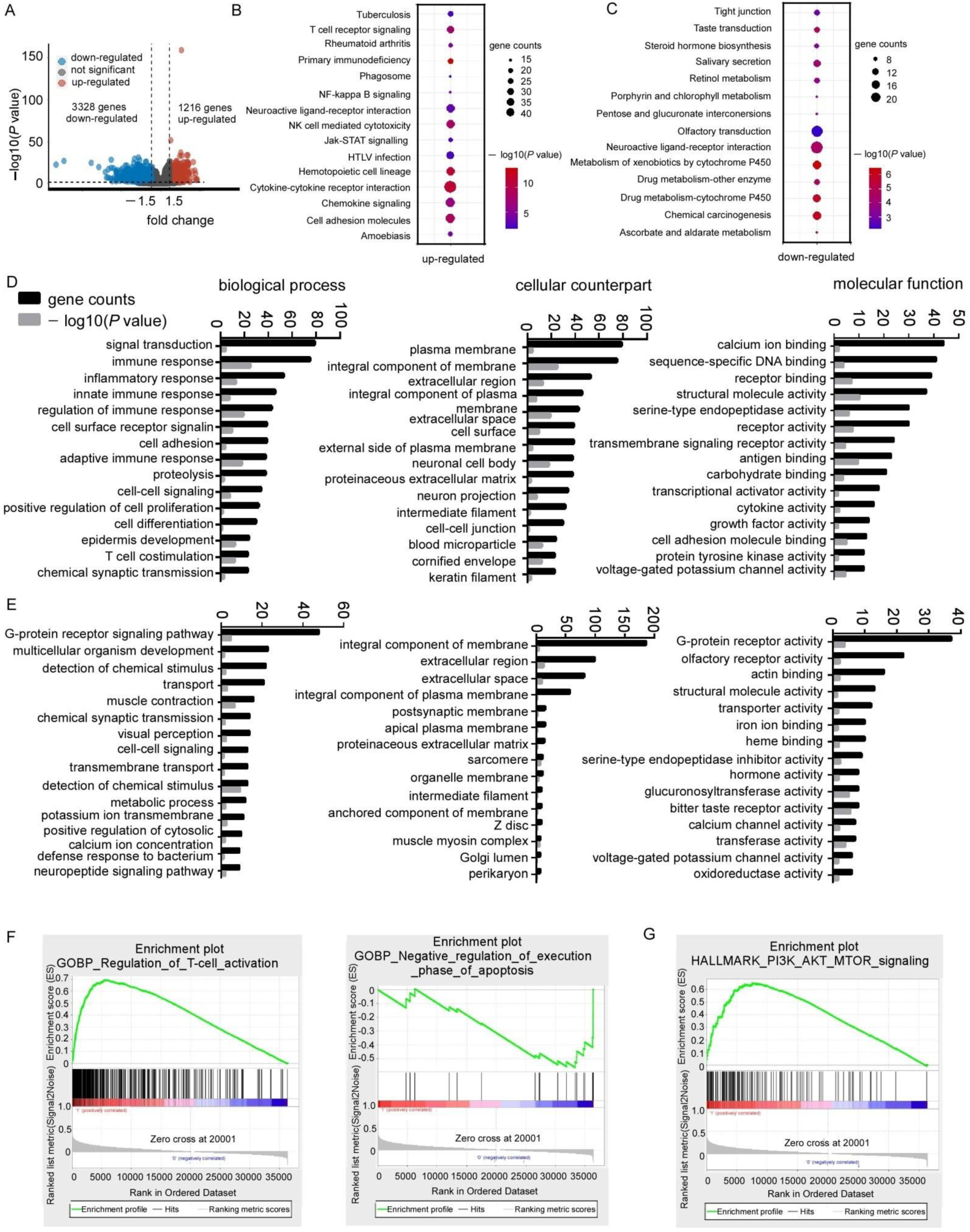 Biomolecules 11 01265 g002 Biomolecules 11 01265 g002