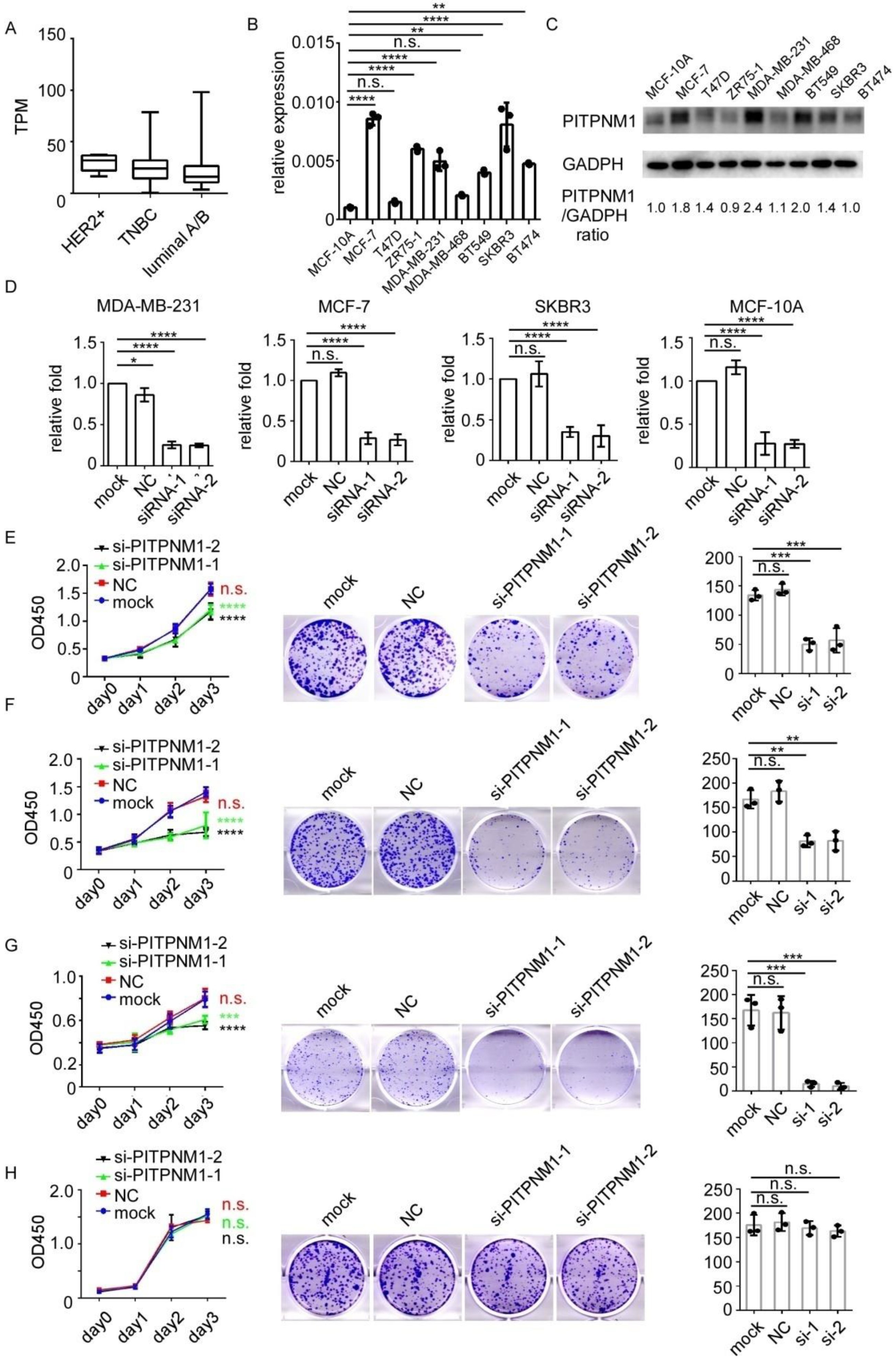 Biomolecules 11 01265 g003 Biomolecules 11 01265 g003