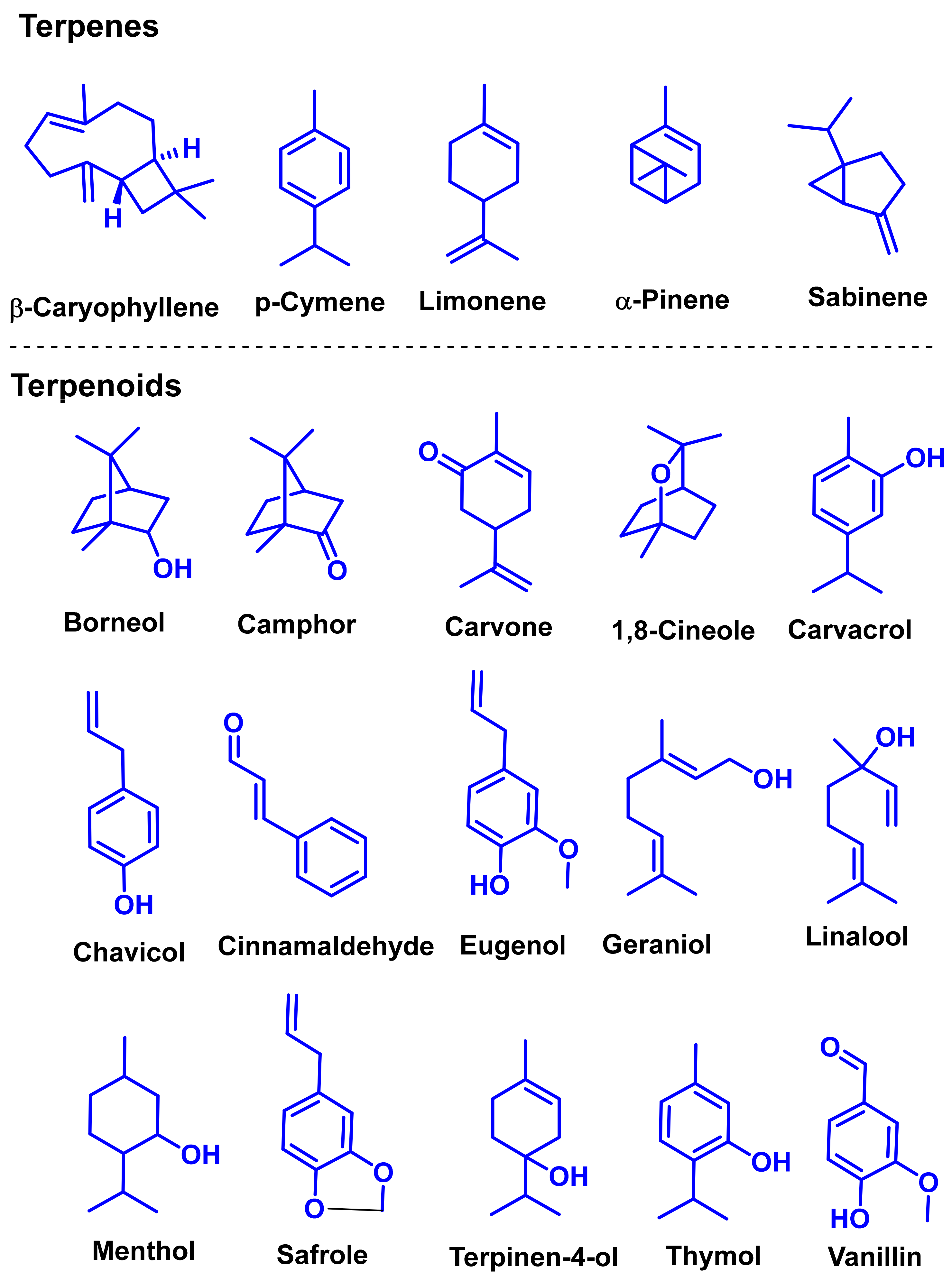 Biomolecules 11 01267 g001 Biomolecules 11 01267 g001