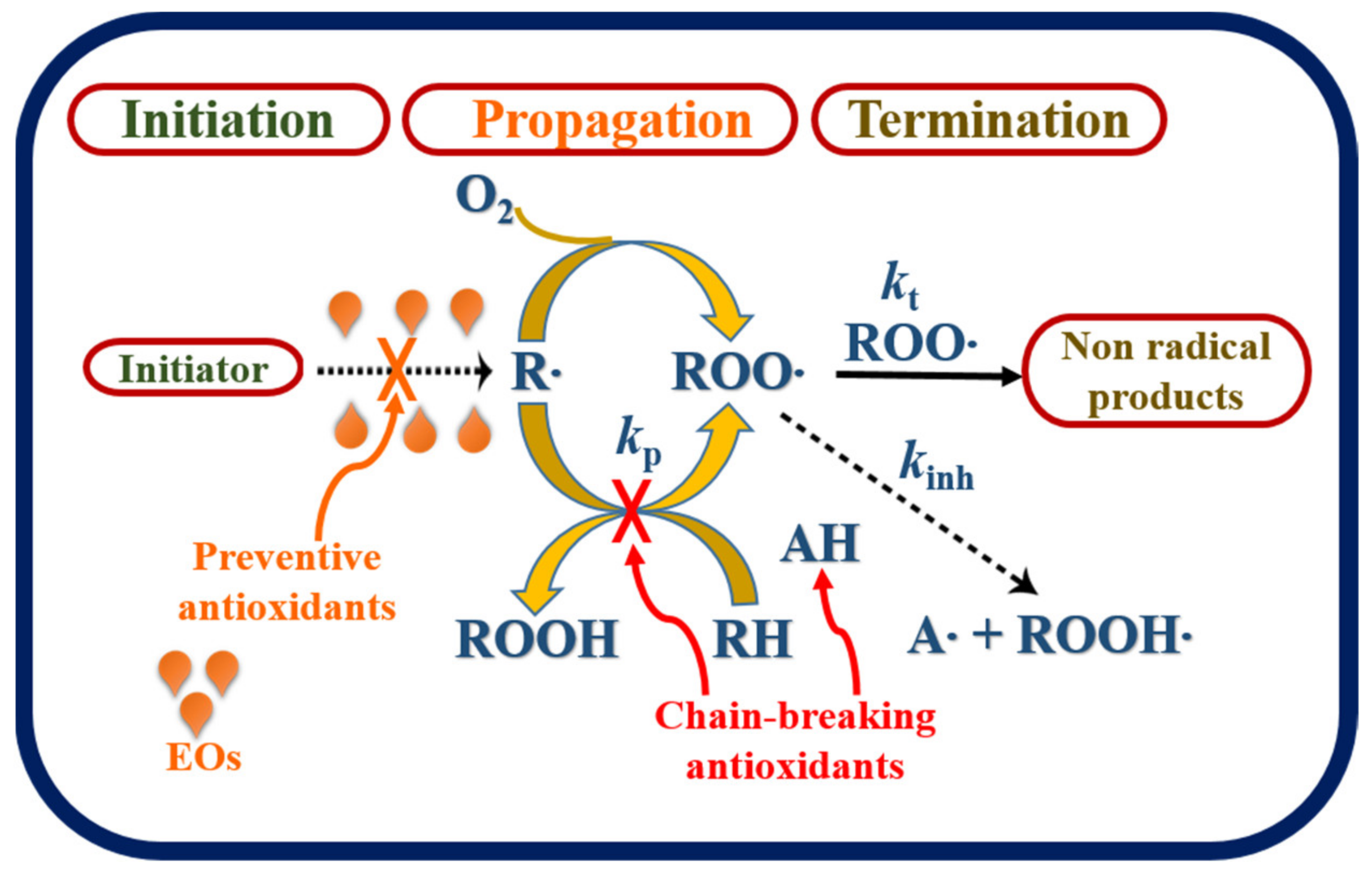 Biomolecules 11 01267 g002 Biomolecules 11 01267 g002