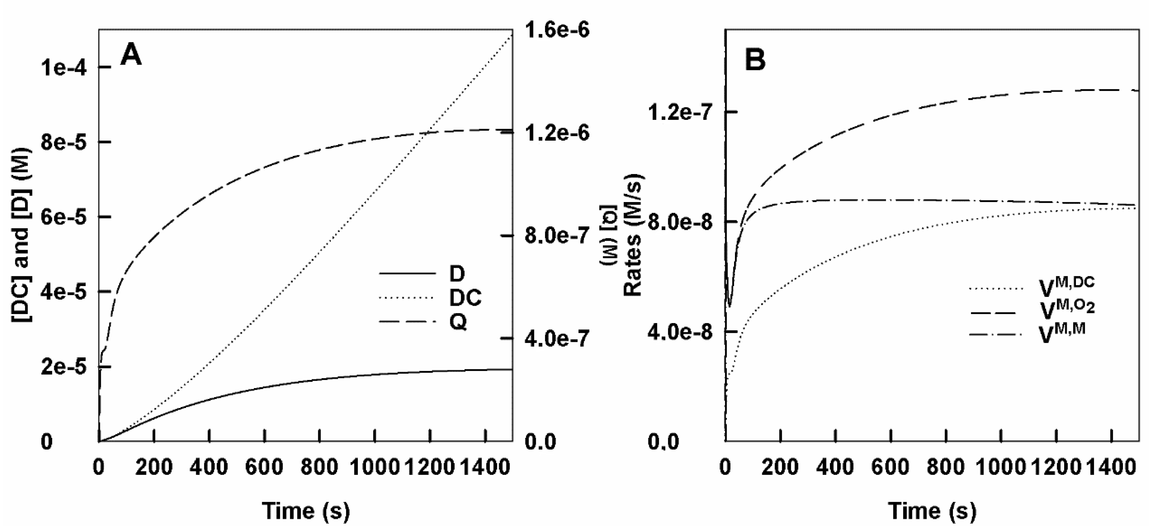 Biomolecules 11 01269 g001