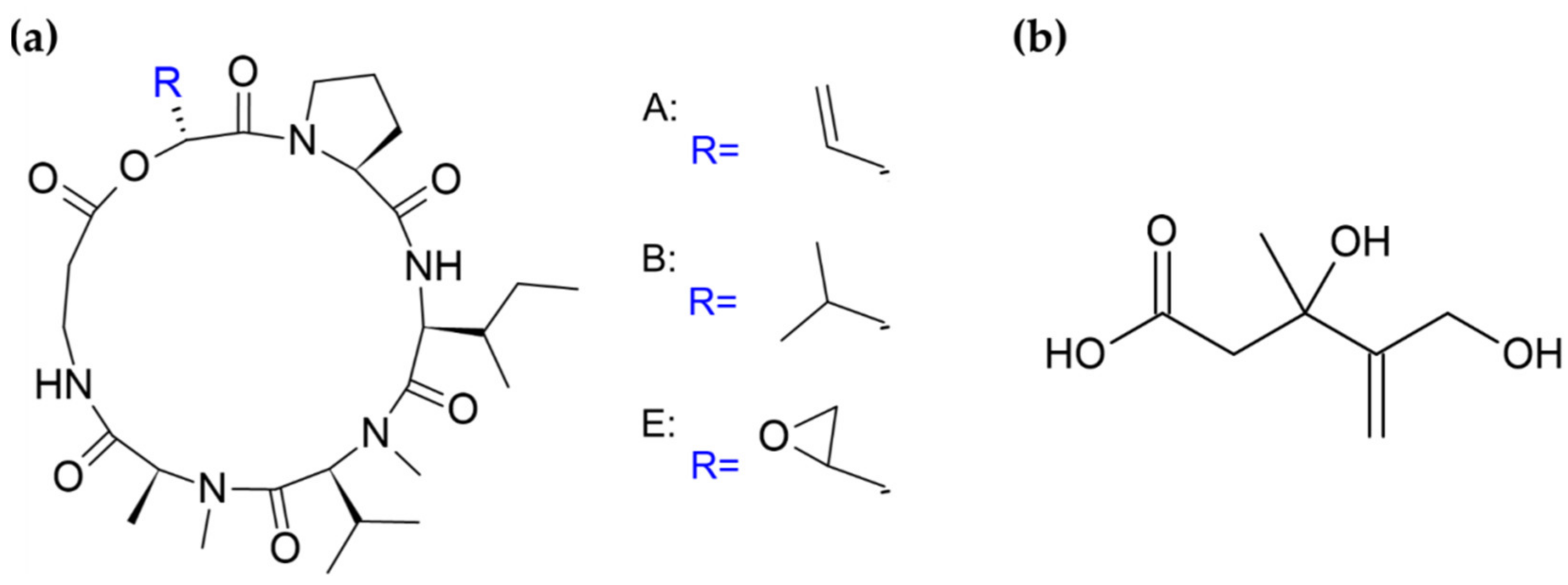 Biomolecules 11 01270 g004