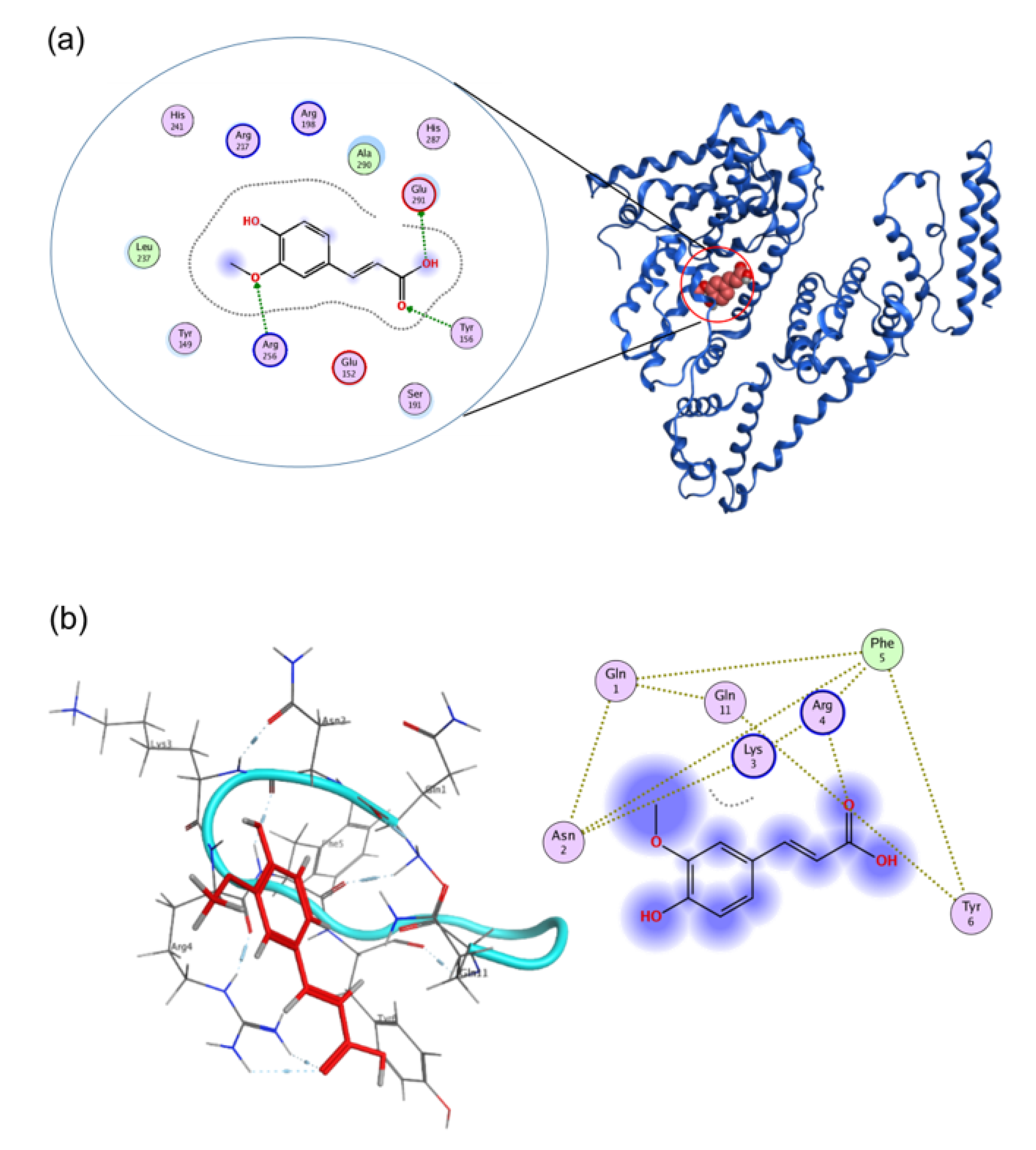 Biomolecules 11 01285 g005