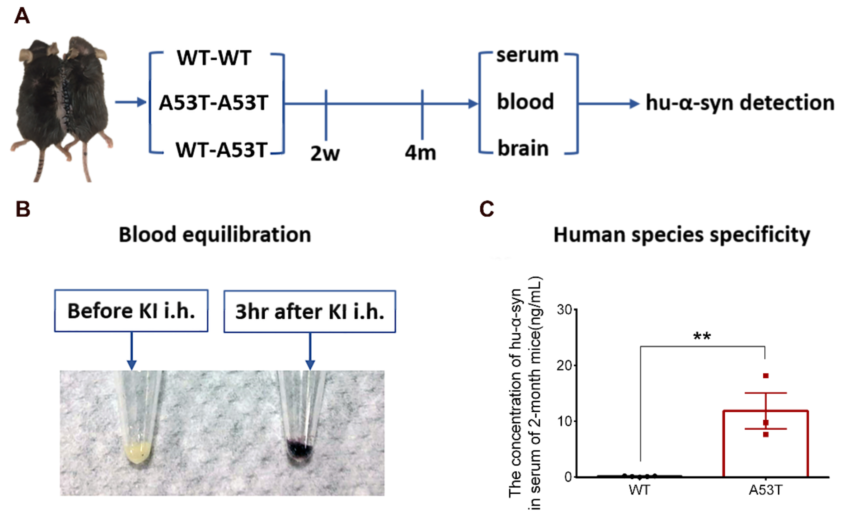 Biomolecules 11 01287 g001