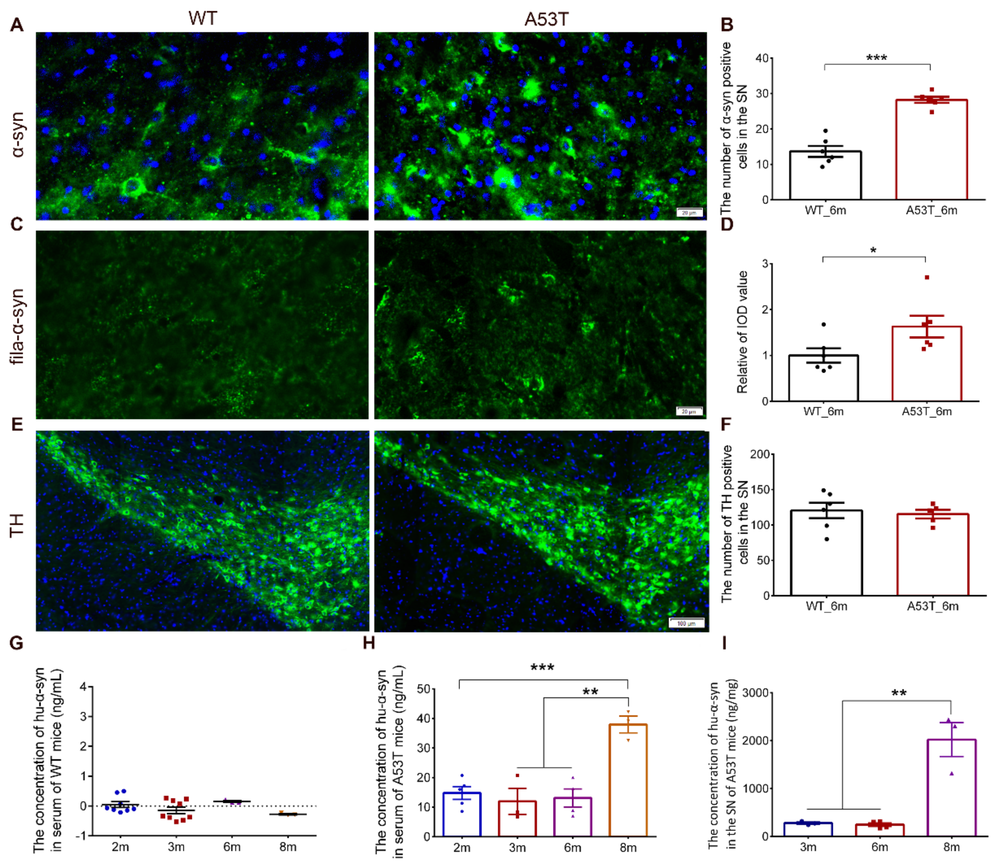 Biomolecules 11 01287 g002