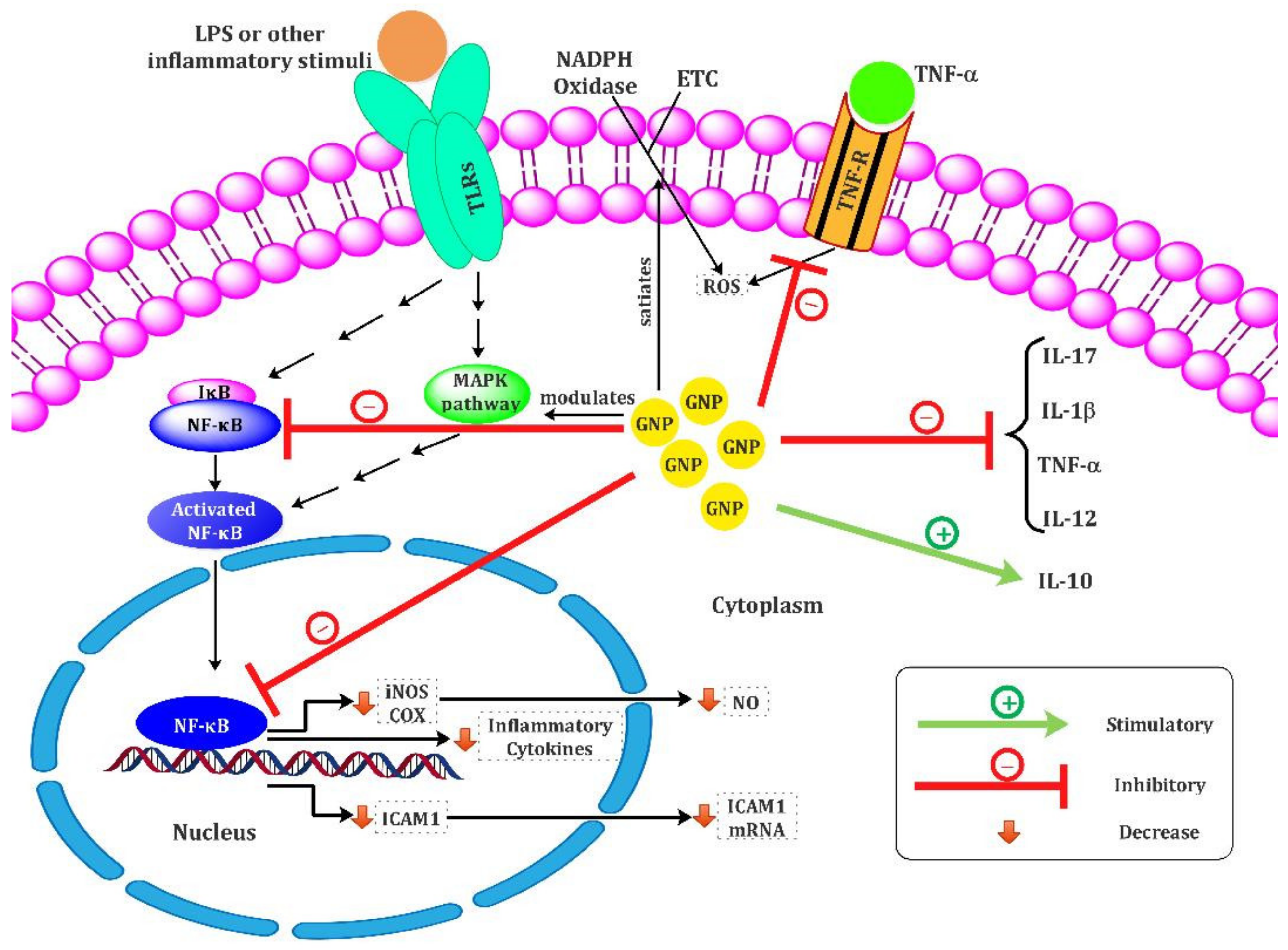 Biomolecules 11 01289 g001 Biomolecules 11 01289 g001