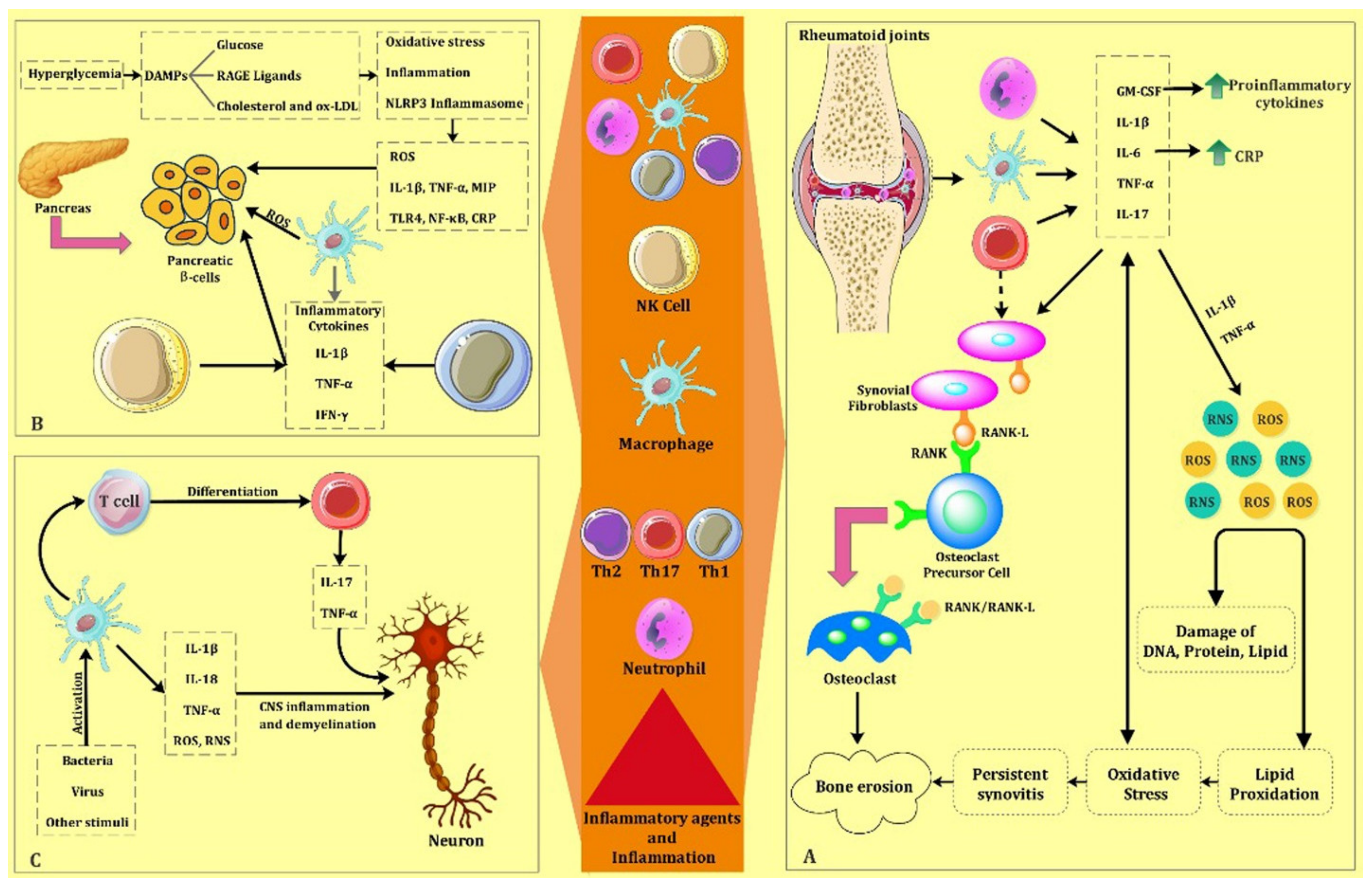 Biomolecules 11 01289 g002 Biomolecules 11 01289 g002