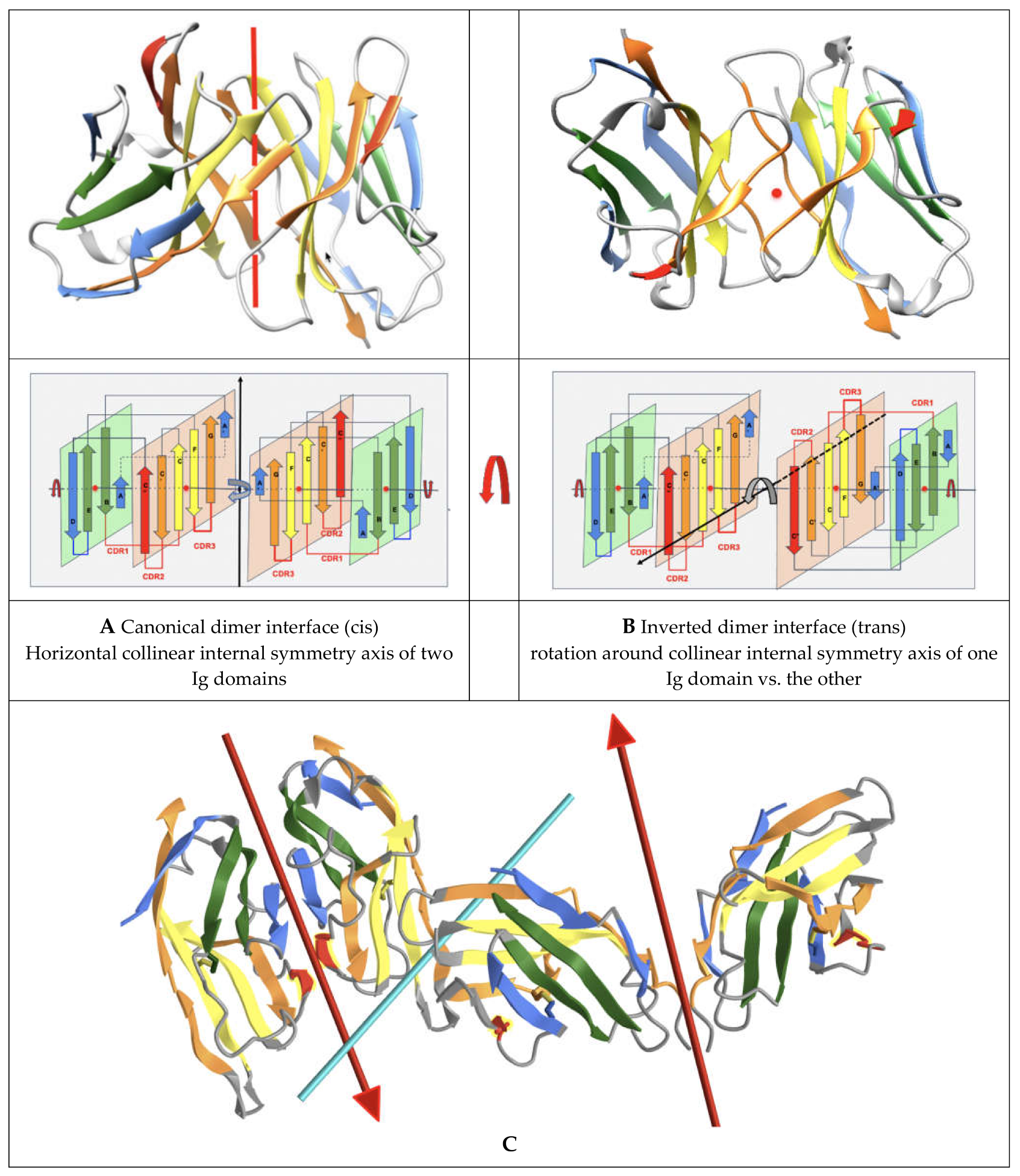 Biomolecules 11 01290 g003