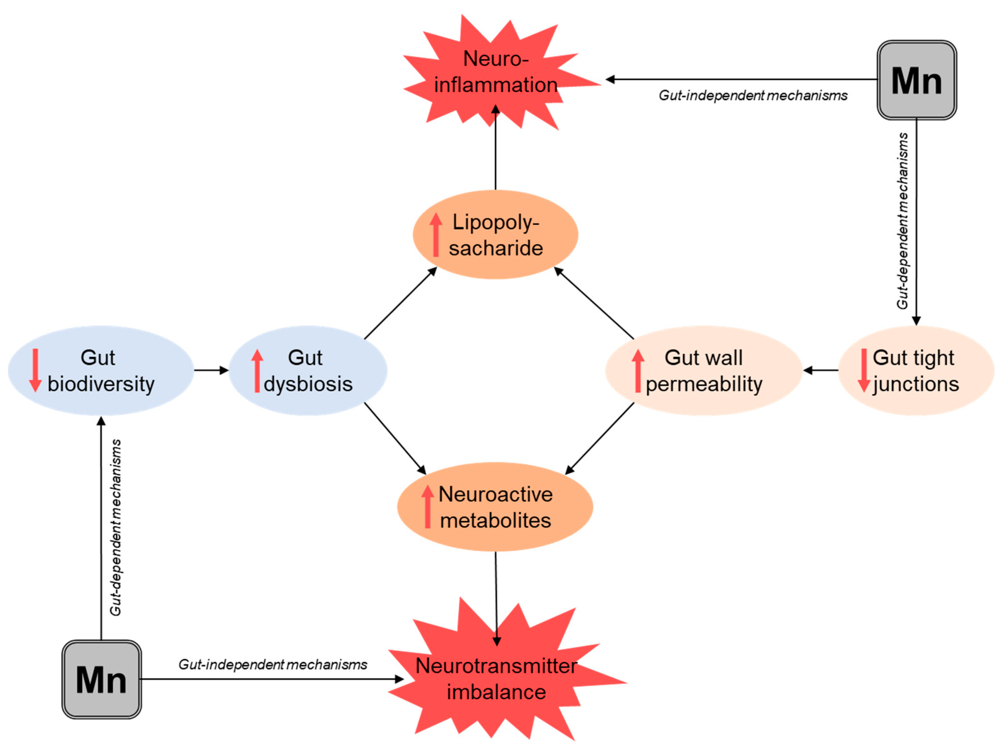 Biomolecules 11 01292 g001 Biomolecules 11 01292 g001