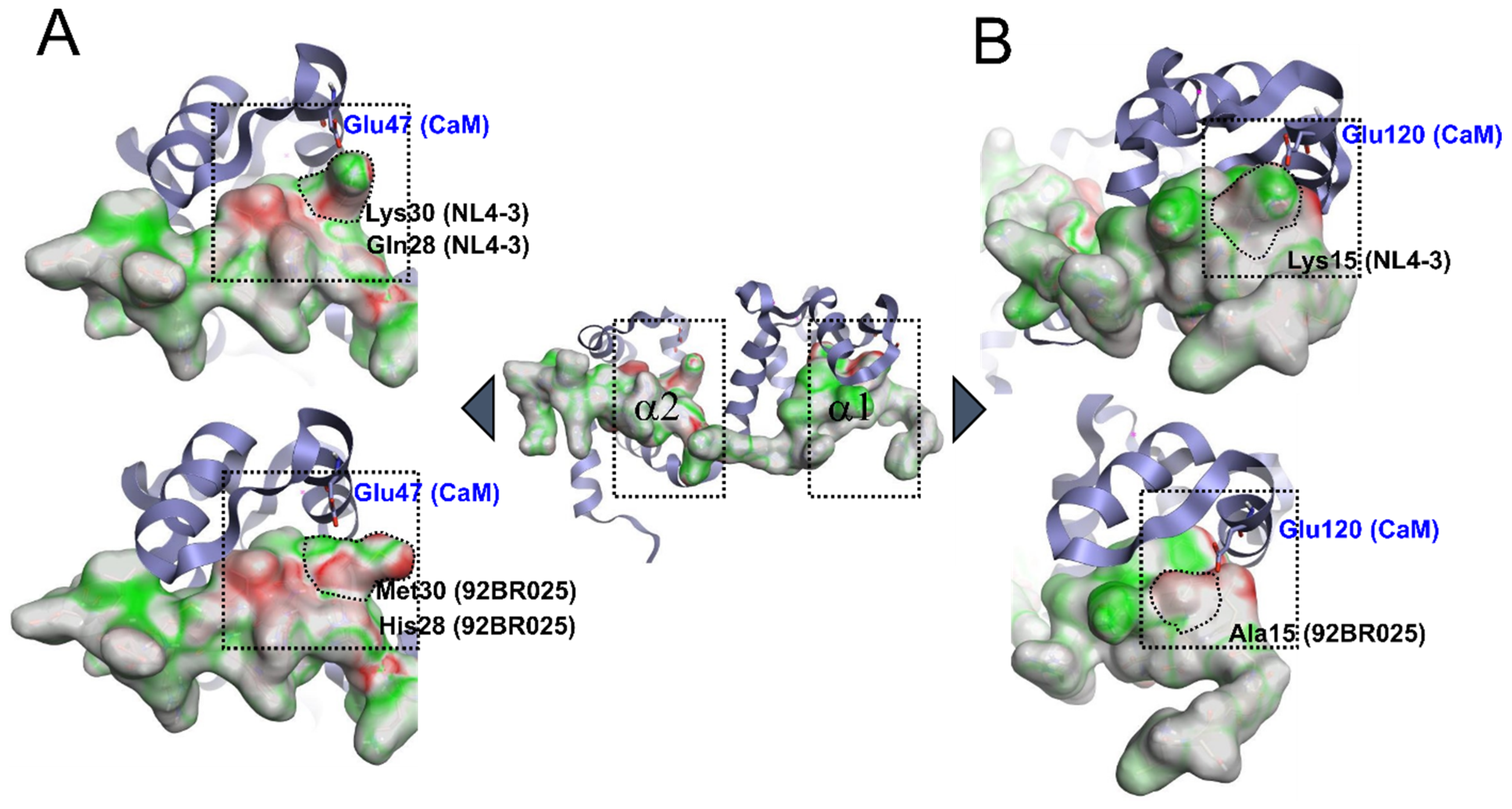 Biomolecules 11 01294 g005