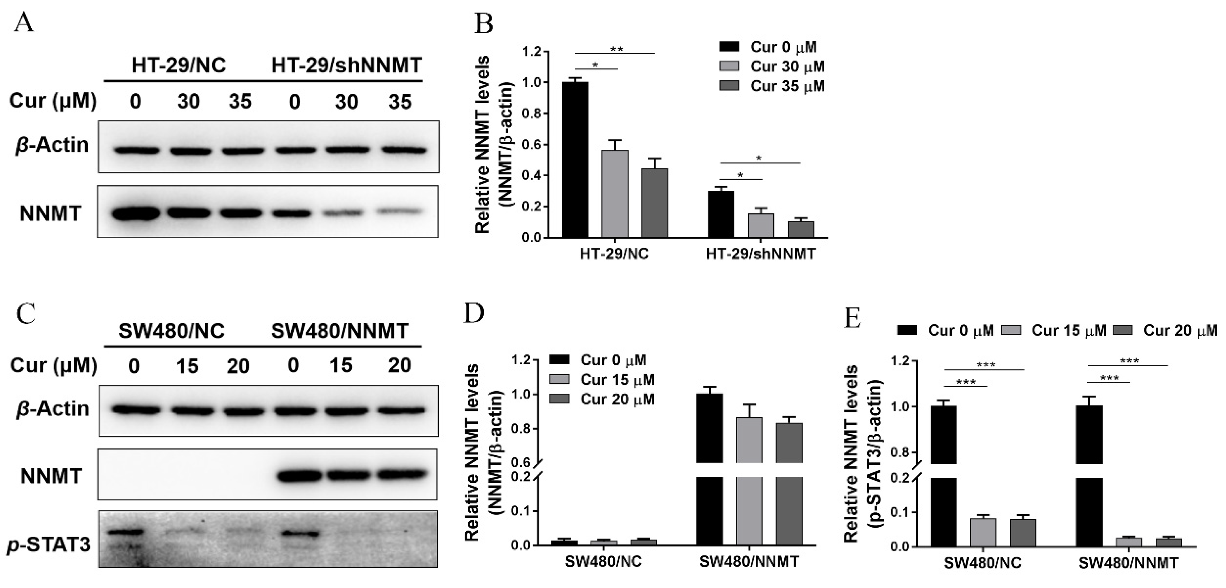 Biomolecules 11 01295 g002