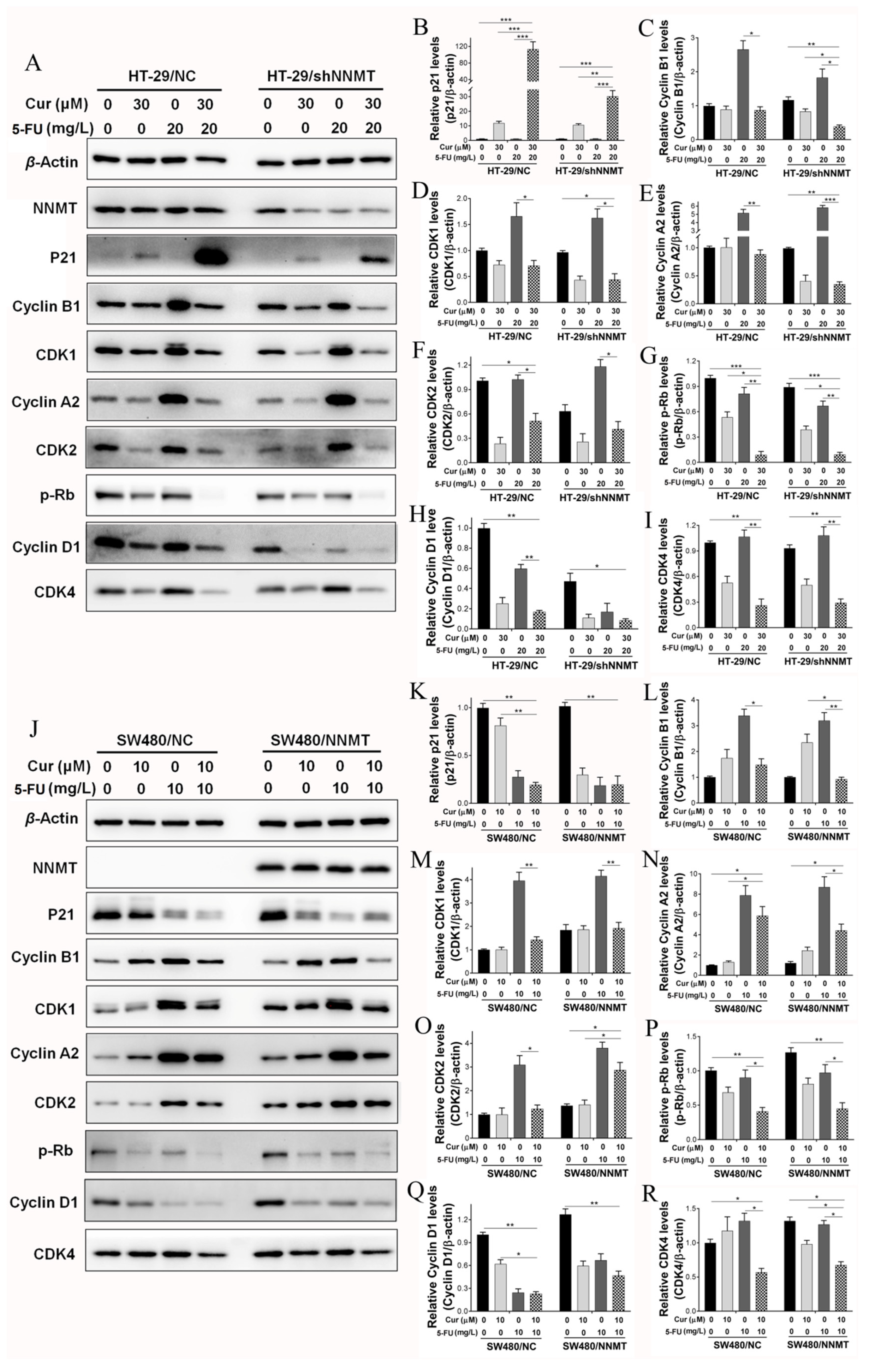Biomolecules 11 01295 g006