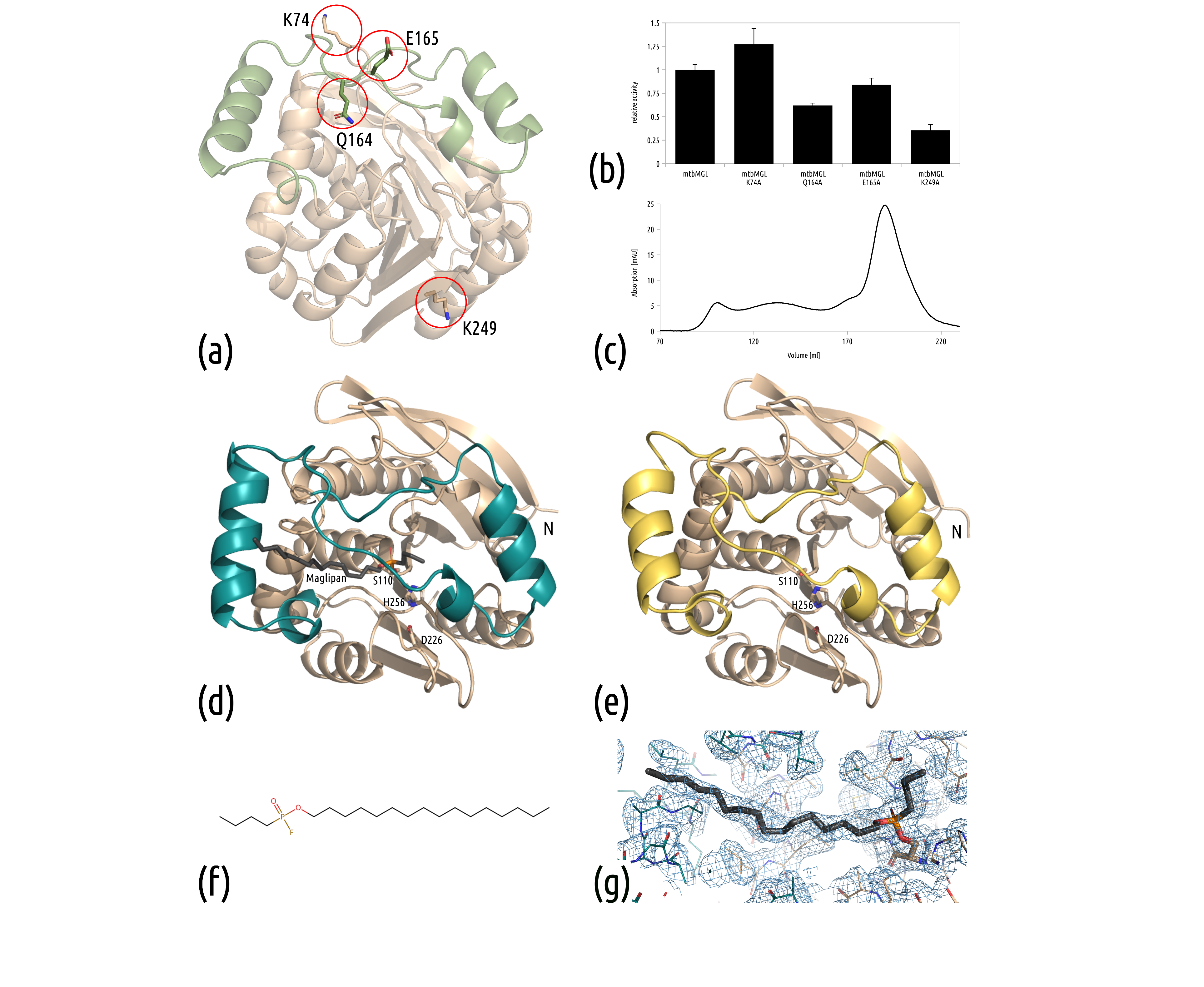 Biomolecules 11 01299 g001