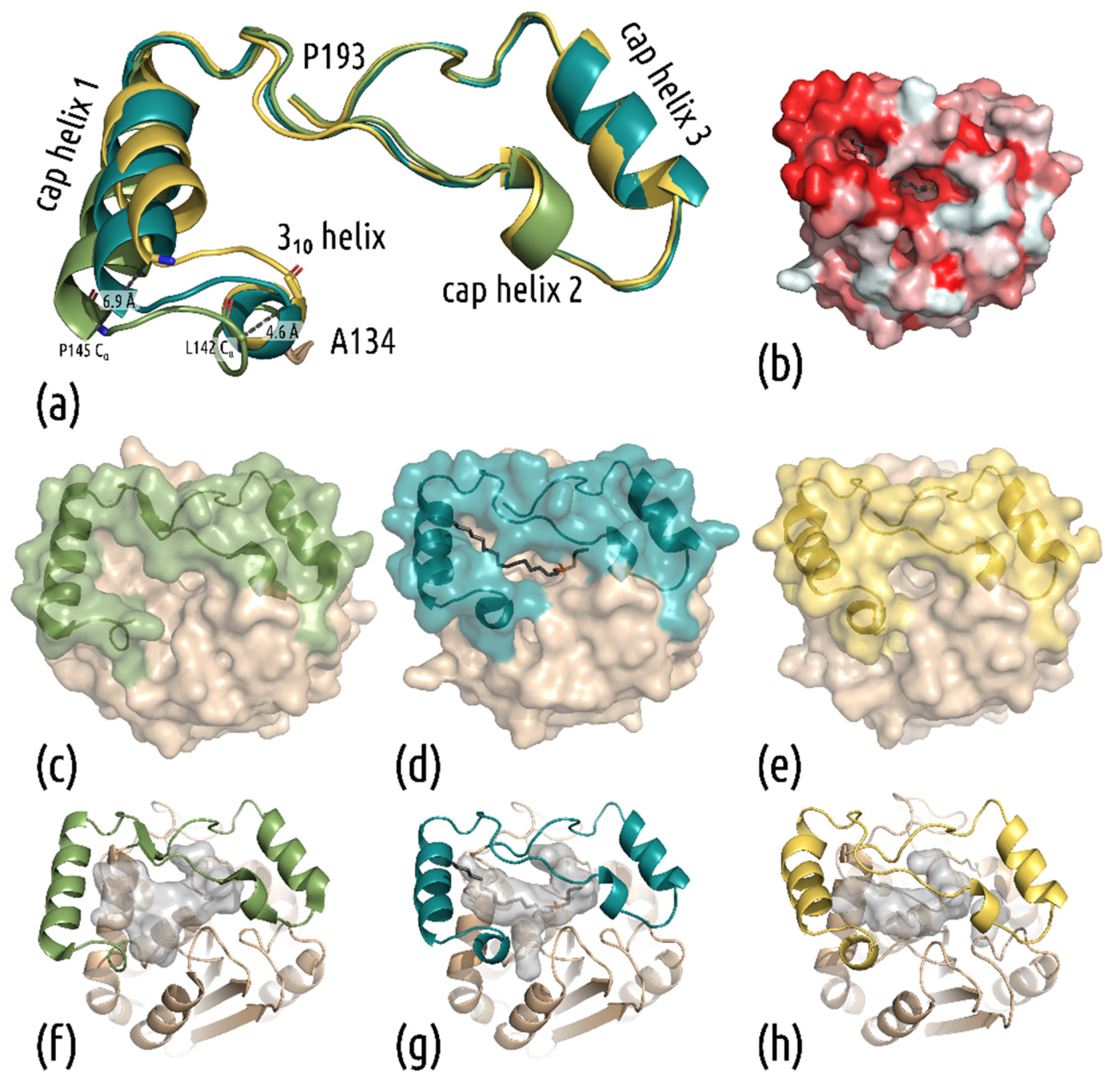 Biomolecules 11 01299 g002