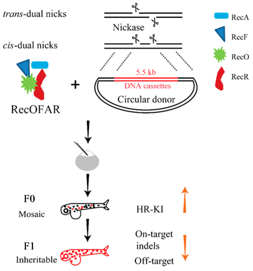 Biomolecules 11 01300 g003