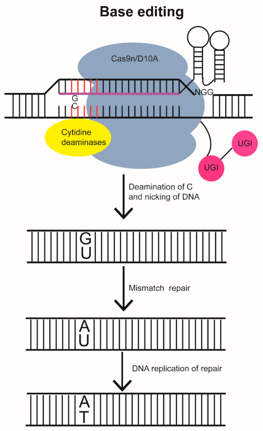 Biomolecules 11 01300 g004