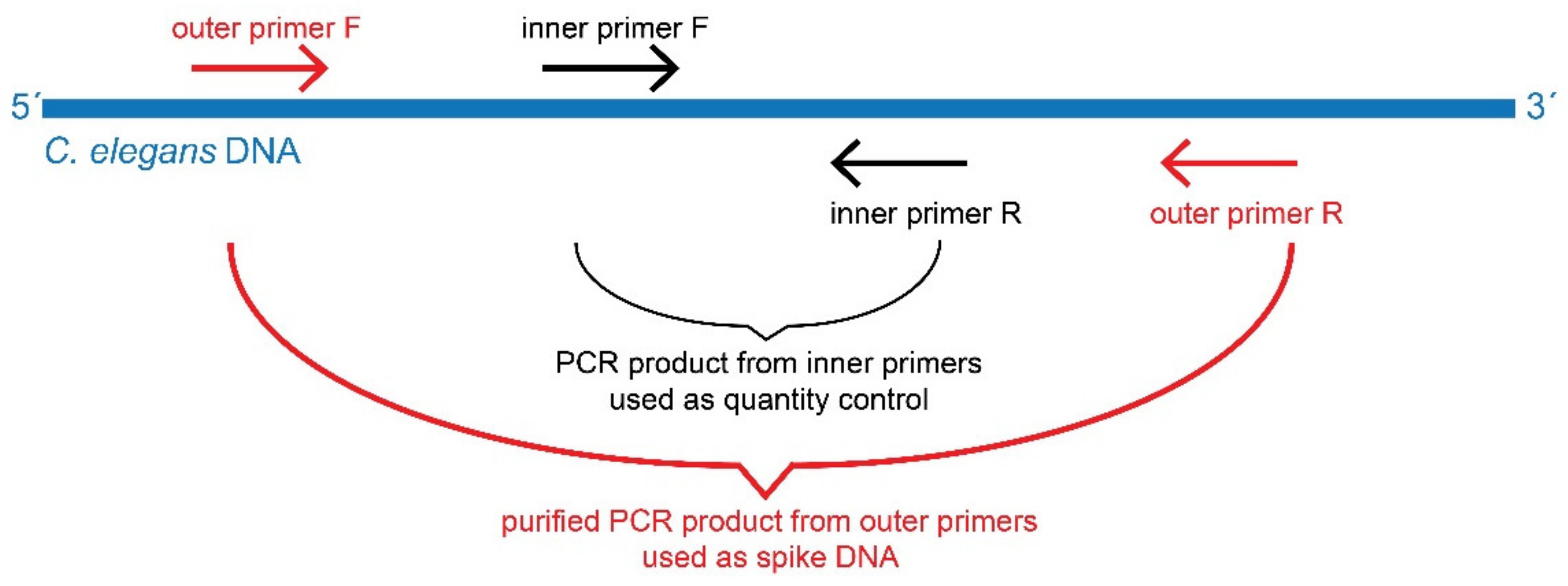 Biomolecules 11 01303 g001