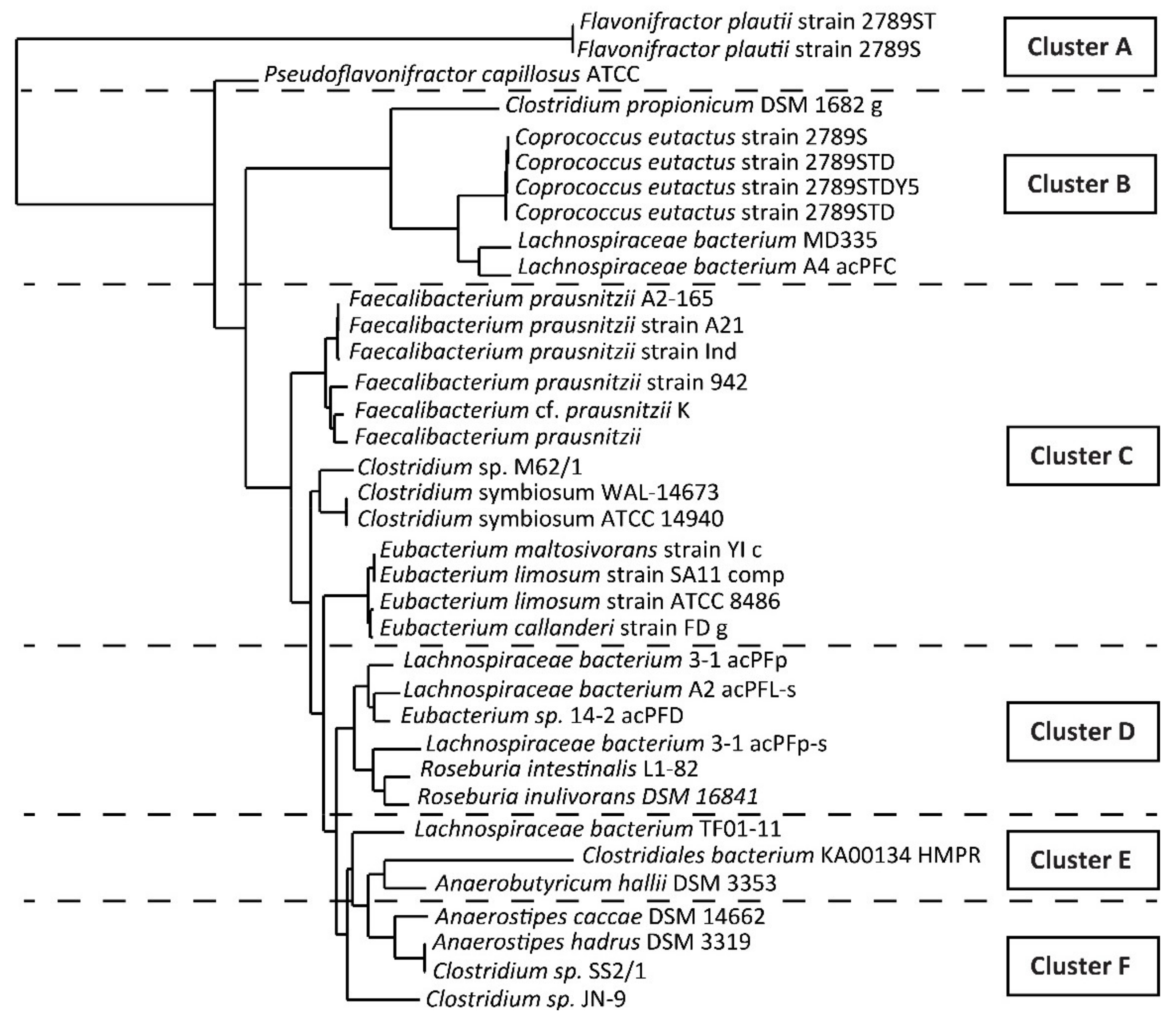 Biomolecules 11 01303 g002