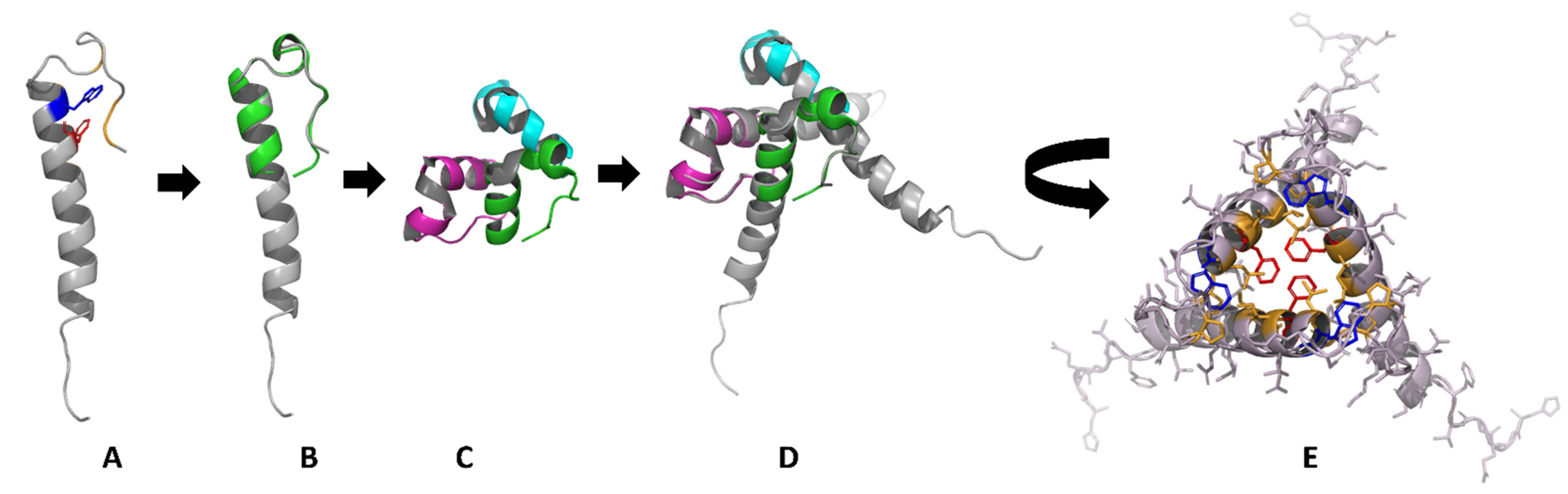 Biomolecules 11 01305 g003