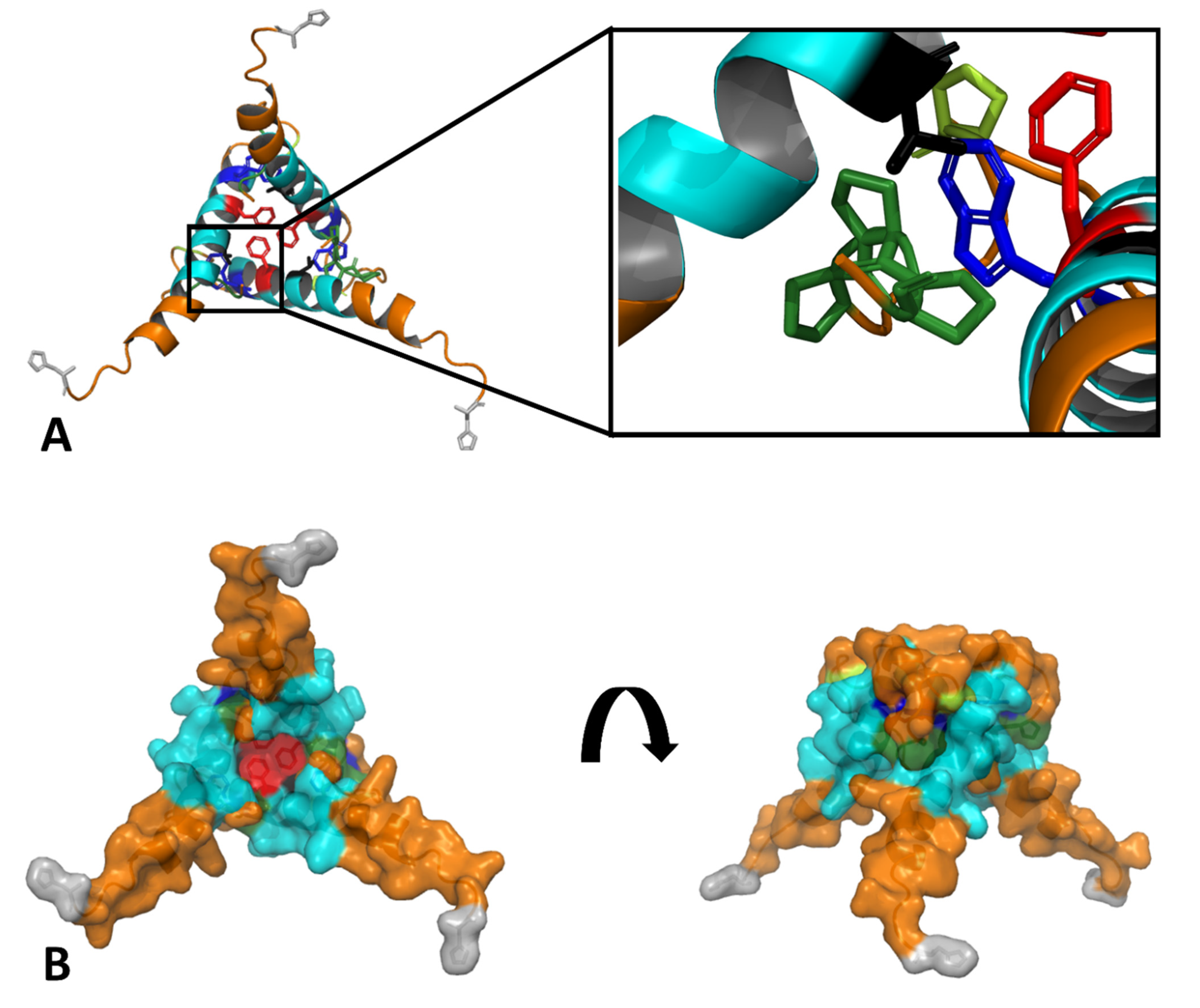 Biomolecules 11 01305 g011