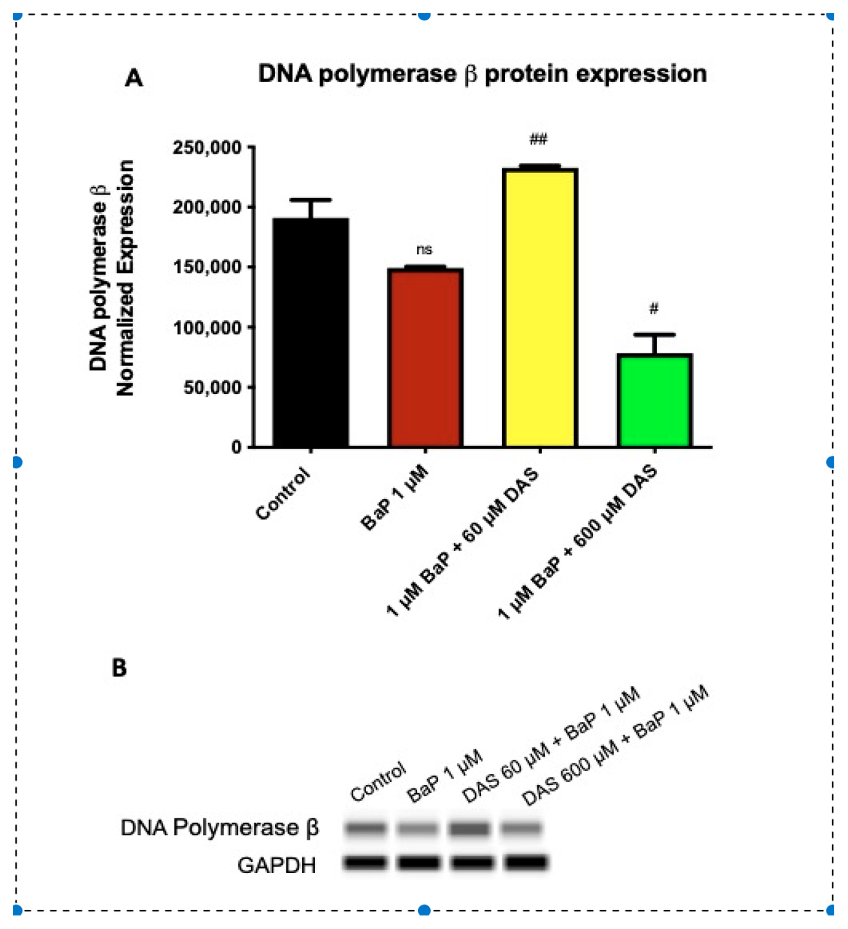Biomolecules 11 01313 g007