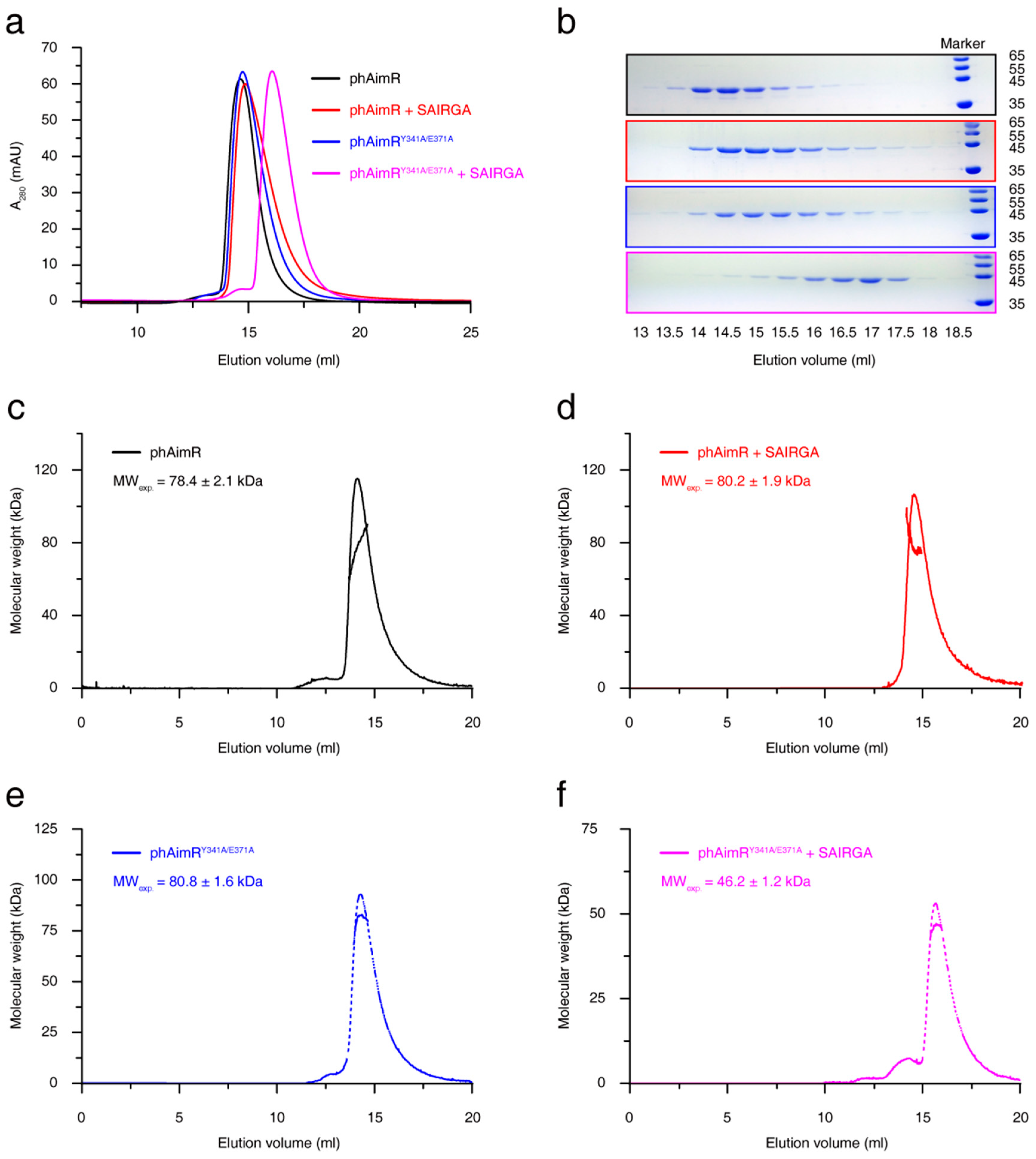 Biomolecules 11 01321 g001