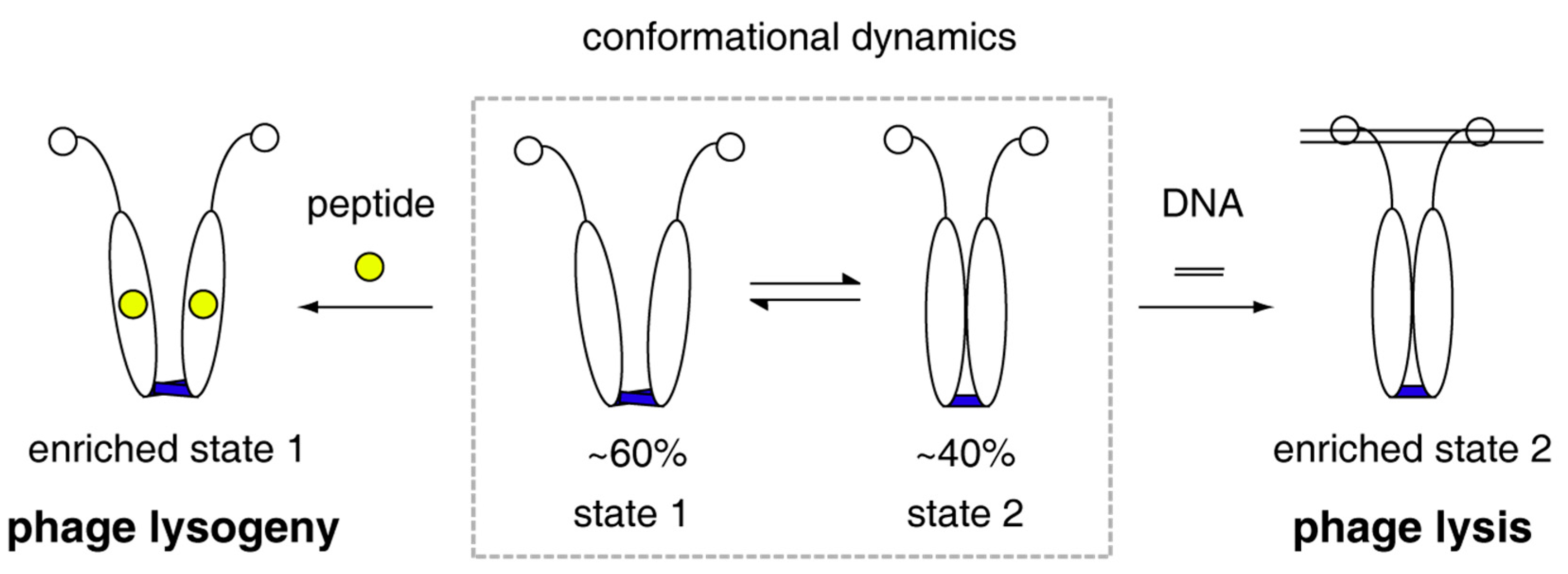 Biomolecules 11 01321 g004