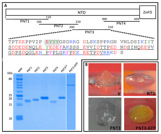 Biomolecules 11 01324 g002