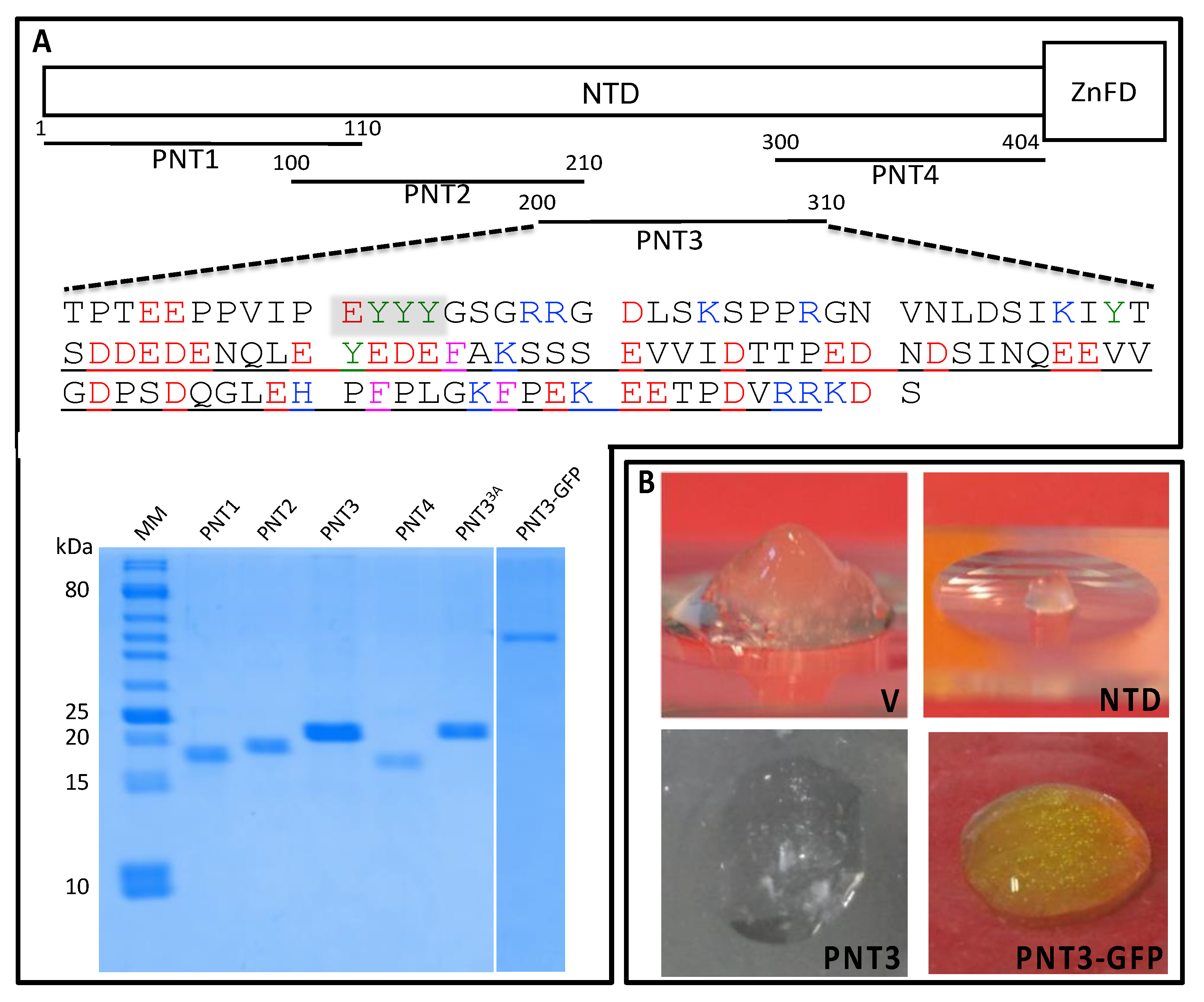 Biomolecules 11 01324 g002