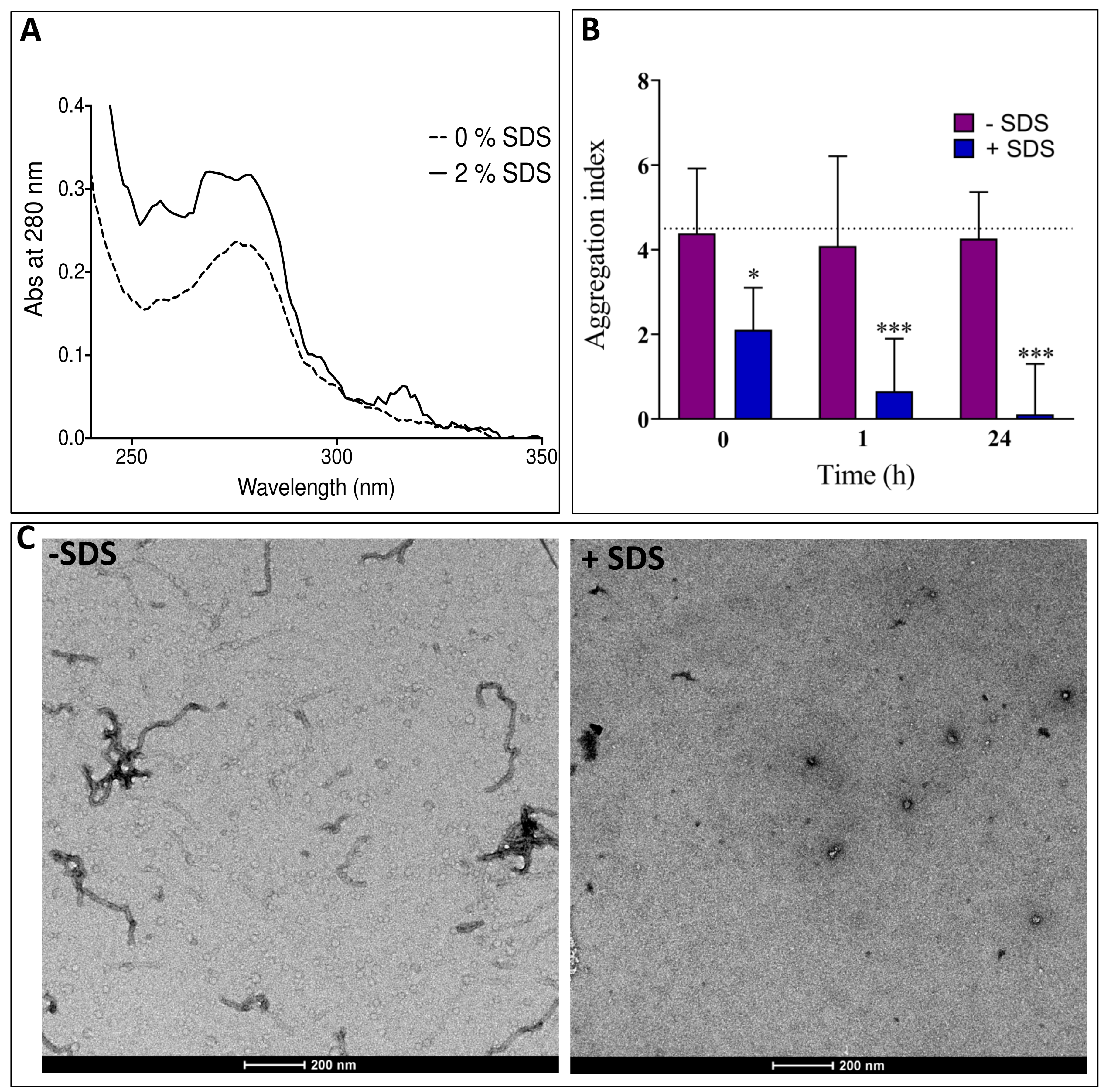 Biomolecules 11 01324 g009