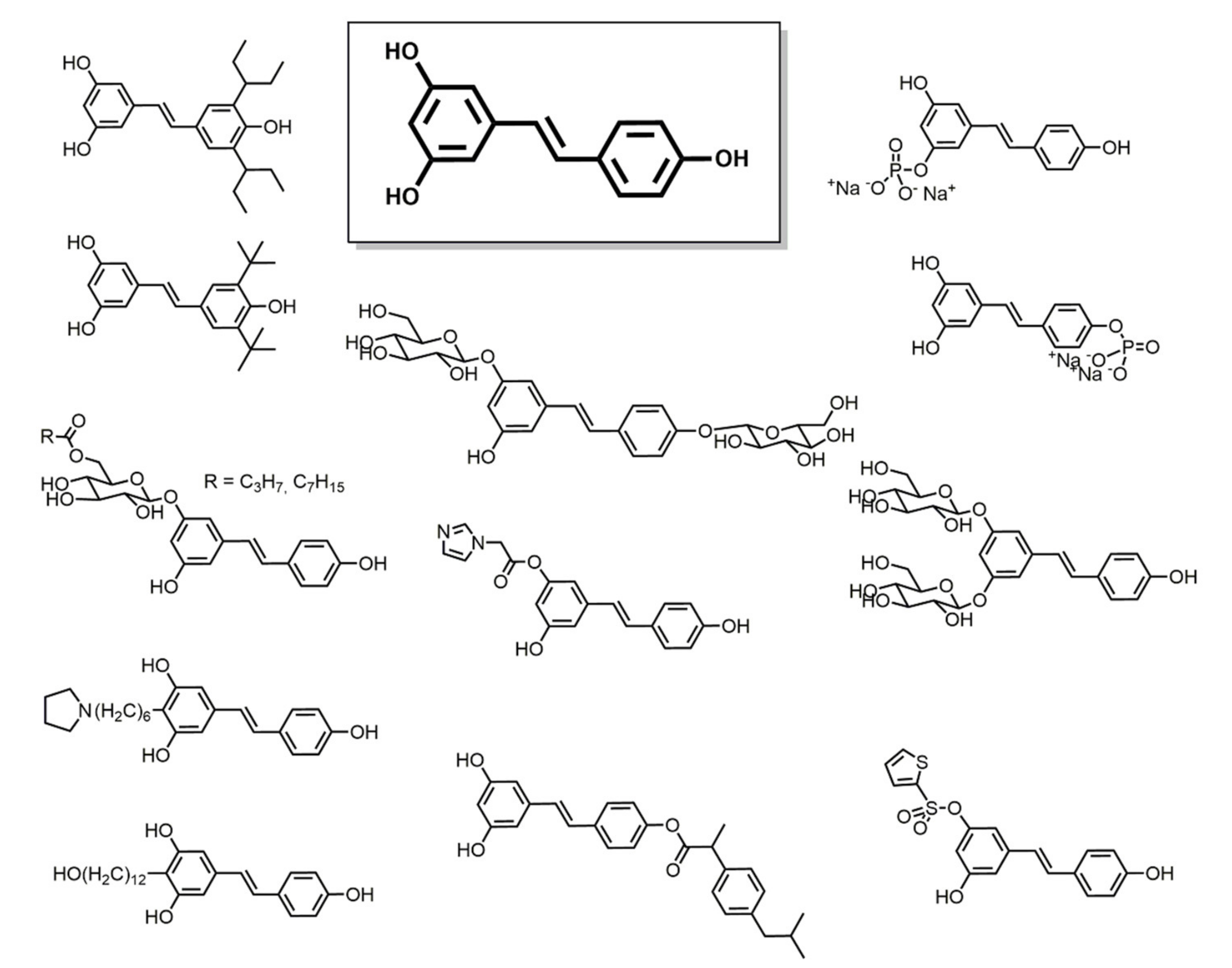 Biomolecules 11 01325 g005