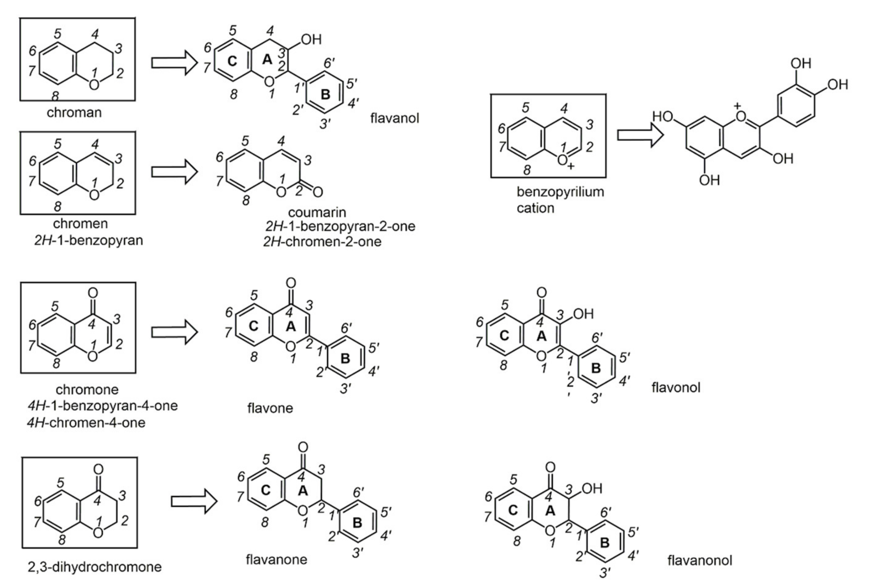 Biomolecules 11 01325 g009