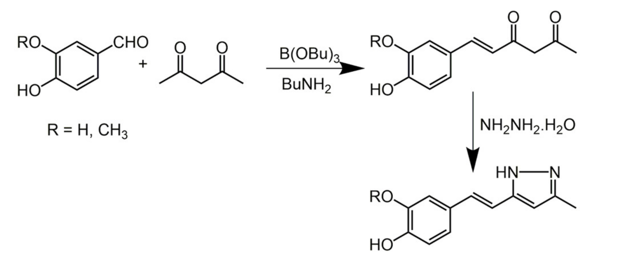 Biomolecules 11 01325 sch020