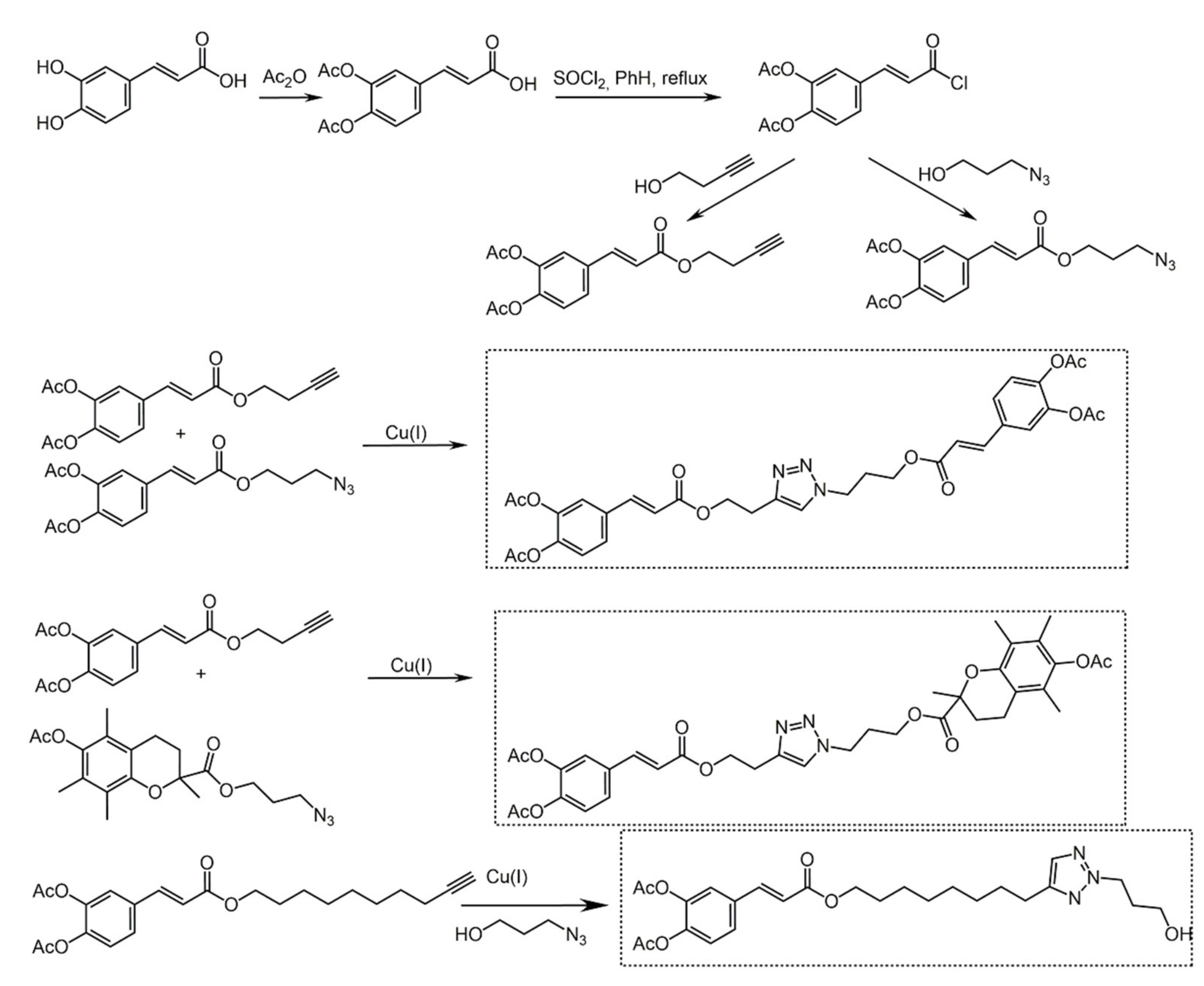 Biomolecules 11 01325 sch026