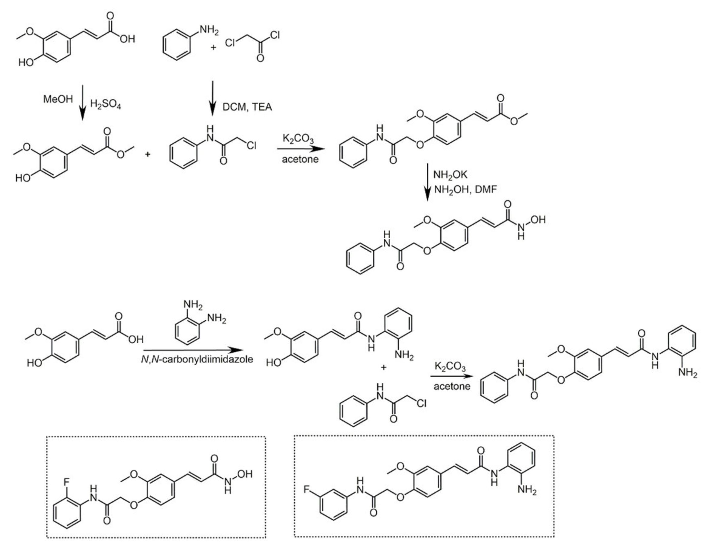 Biomolecules 11 01325 sch032