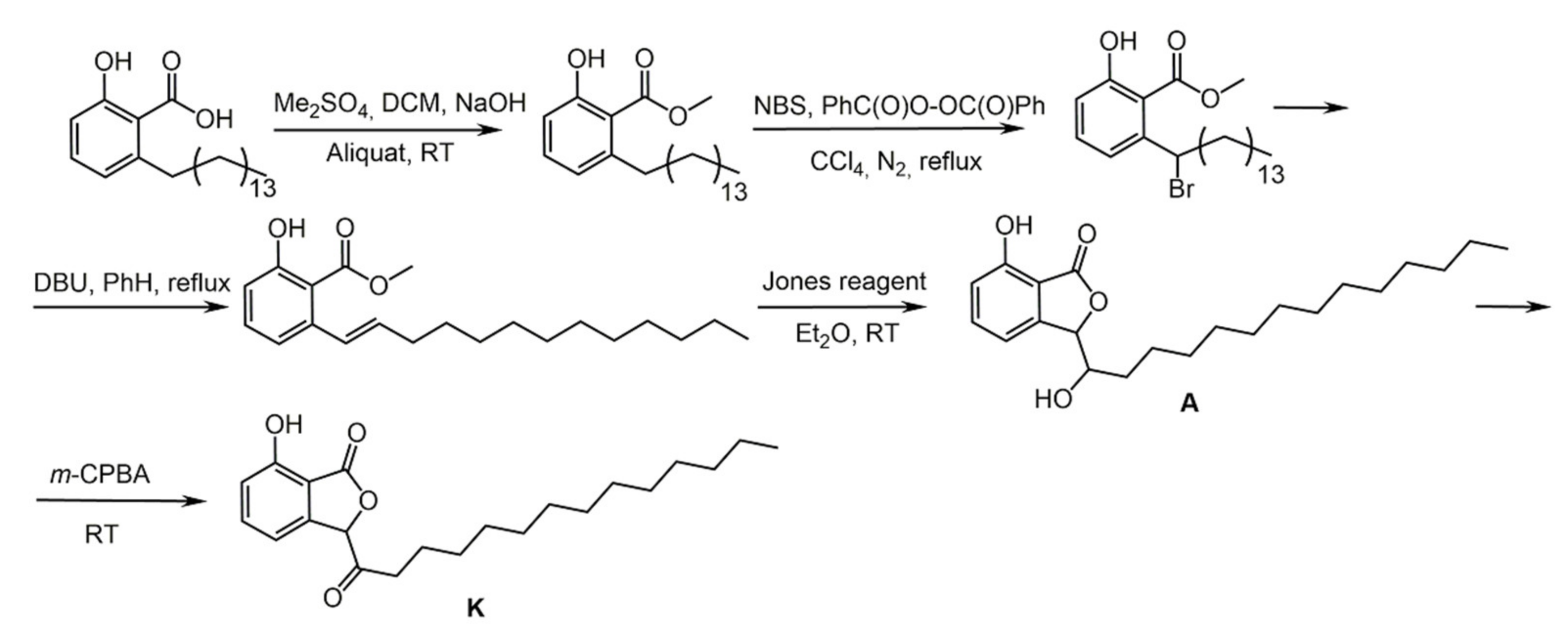 Biomolecules 11 01325 sch038