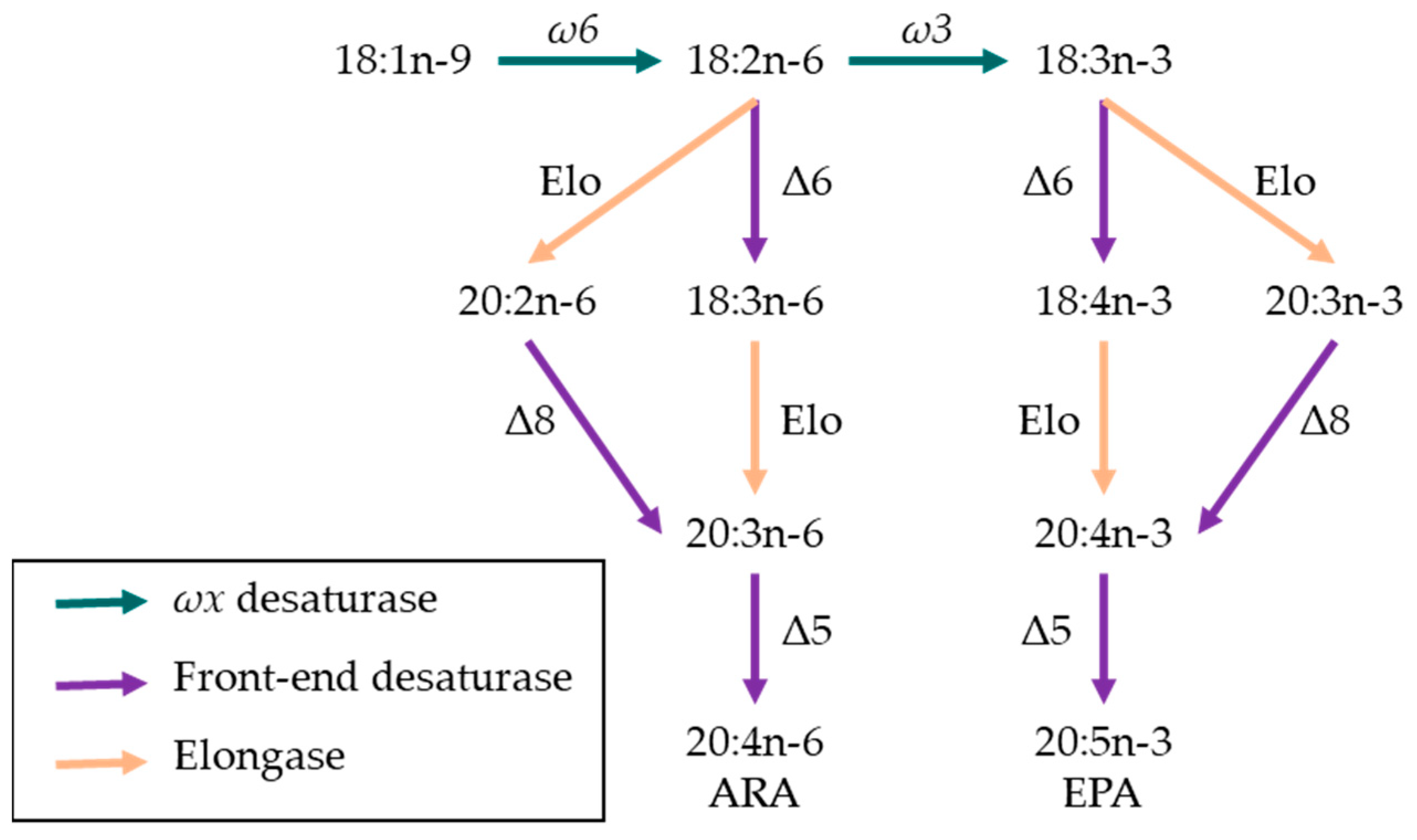 Biomolecules 11 01326 g001