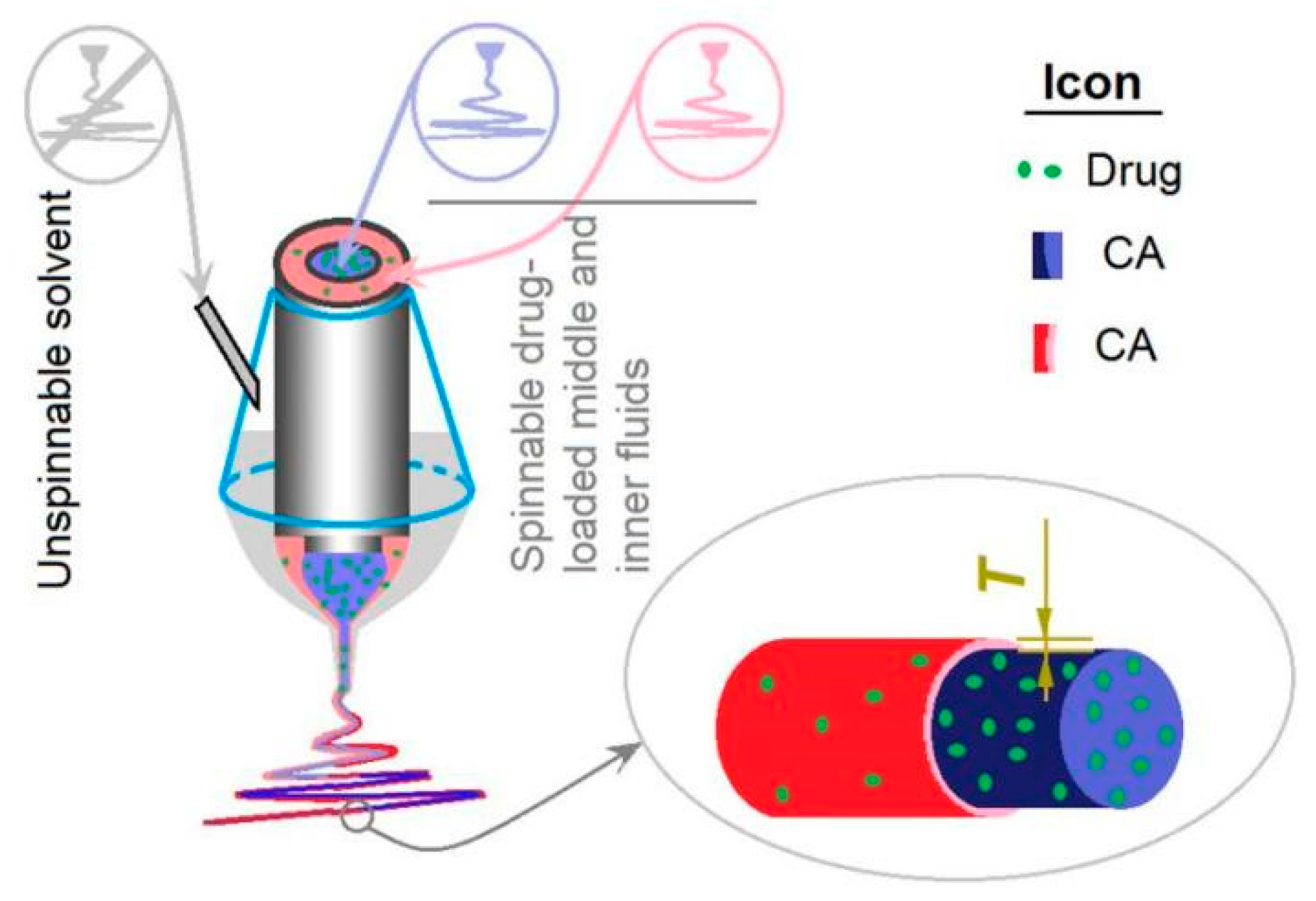 Biomolecules 11 01330 g001