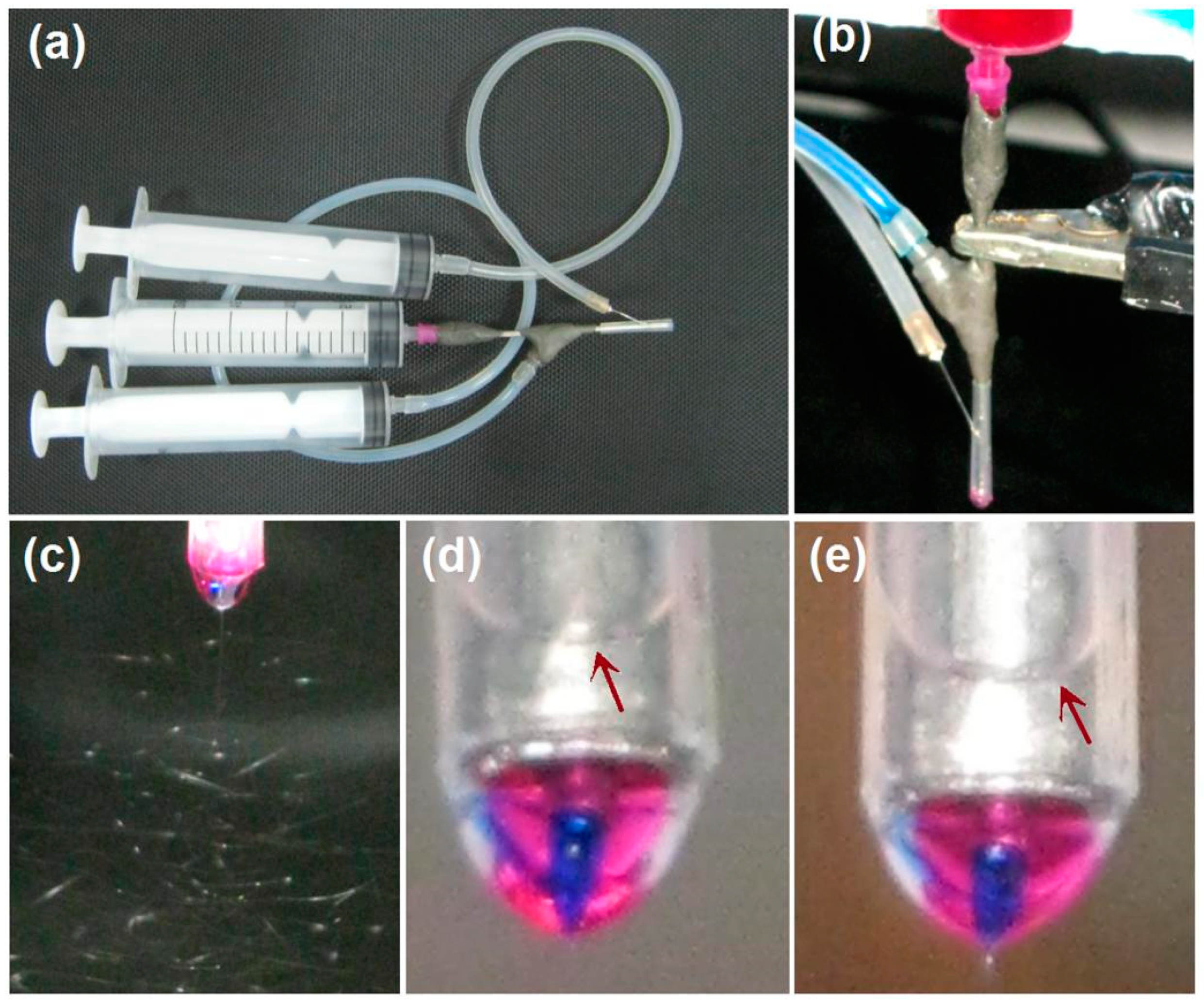 Biomolecules 11 01330 g003