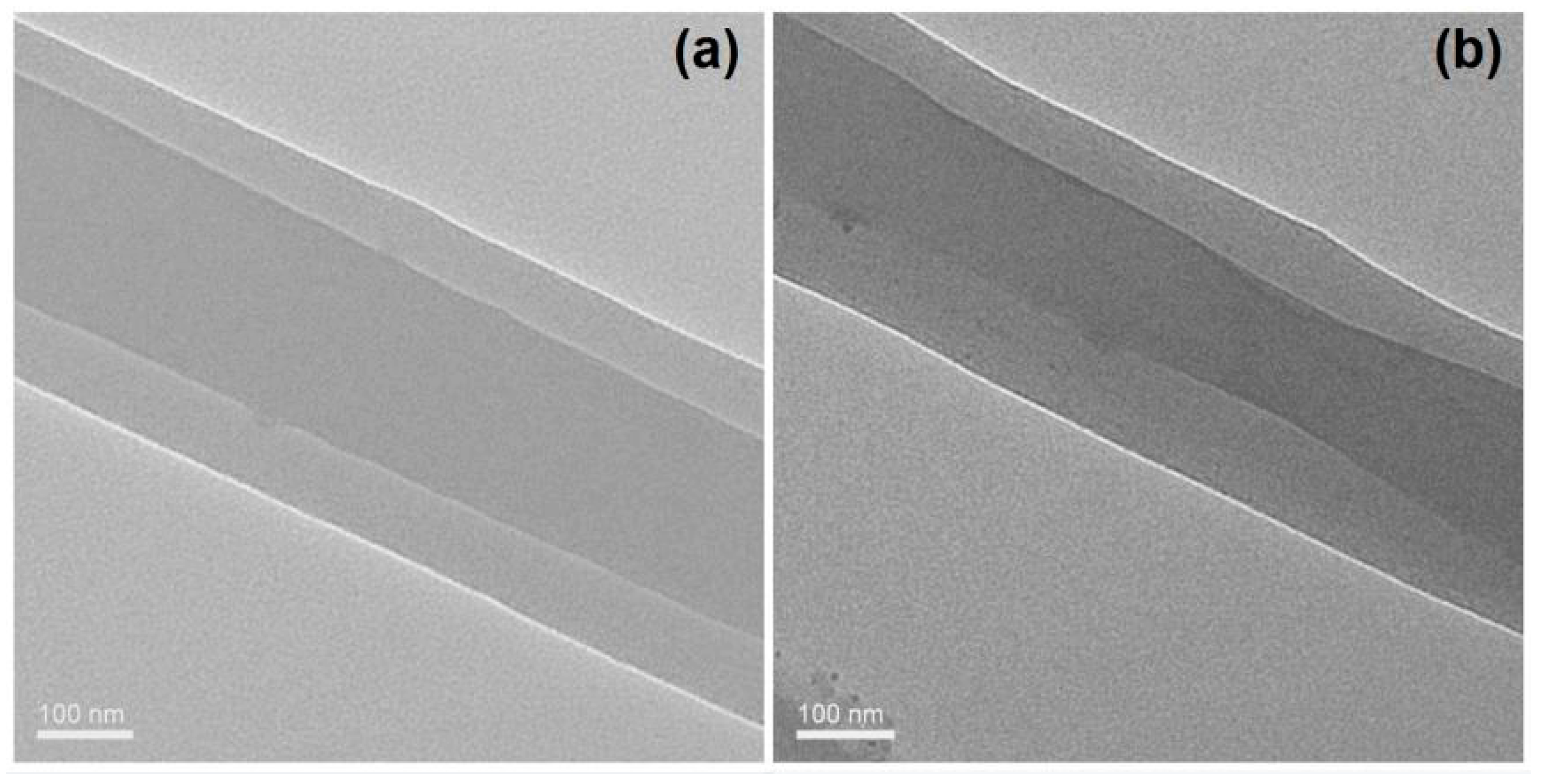 Biomolecules 11 01330 g005