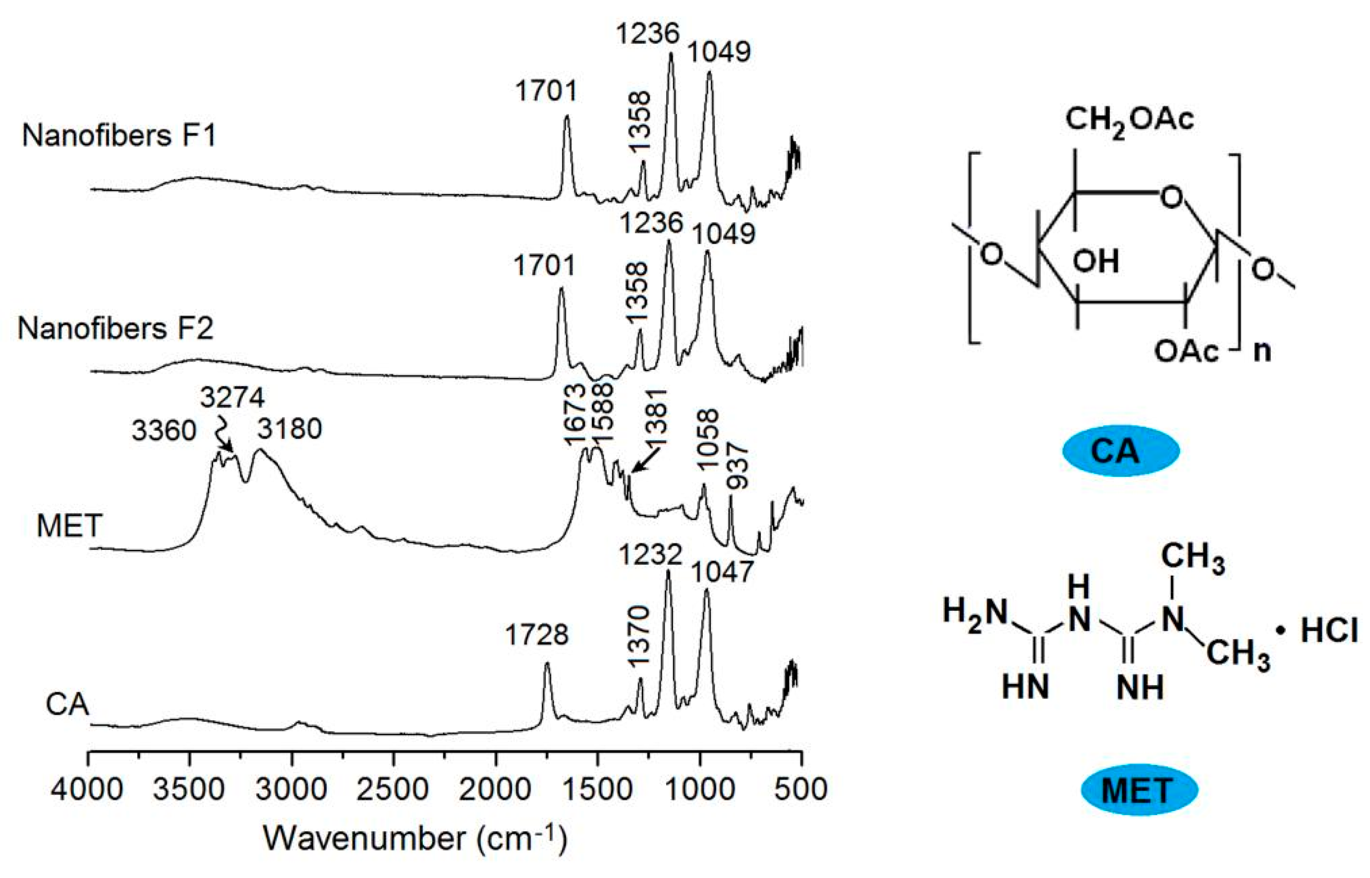 Biomolecules 11 01330 g007