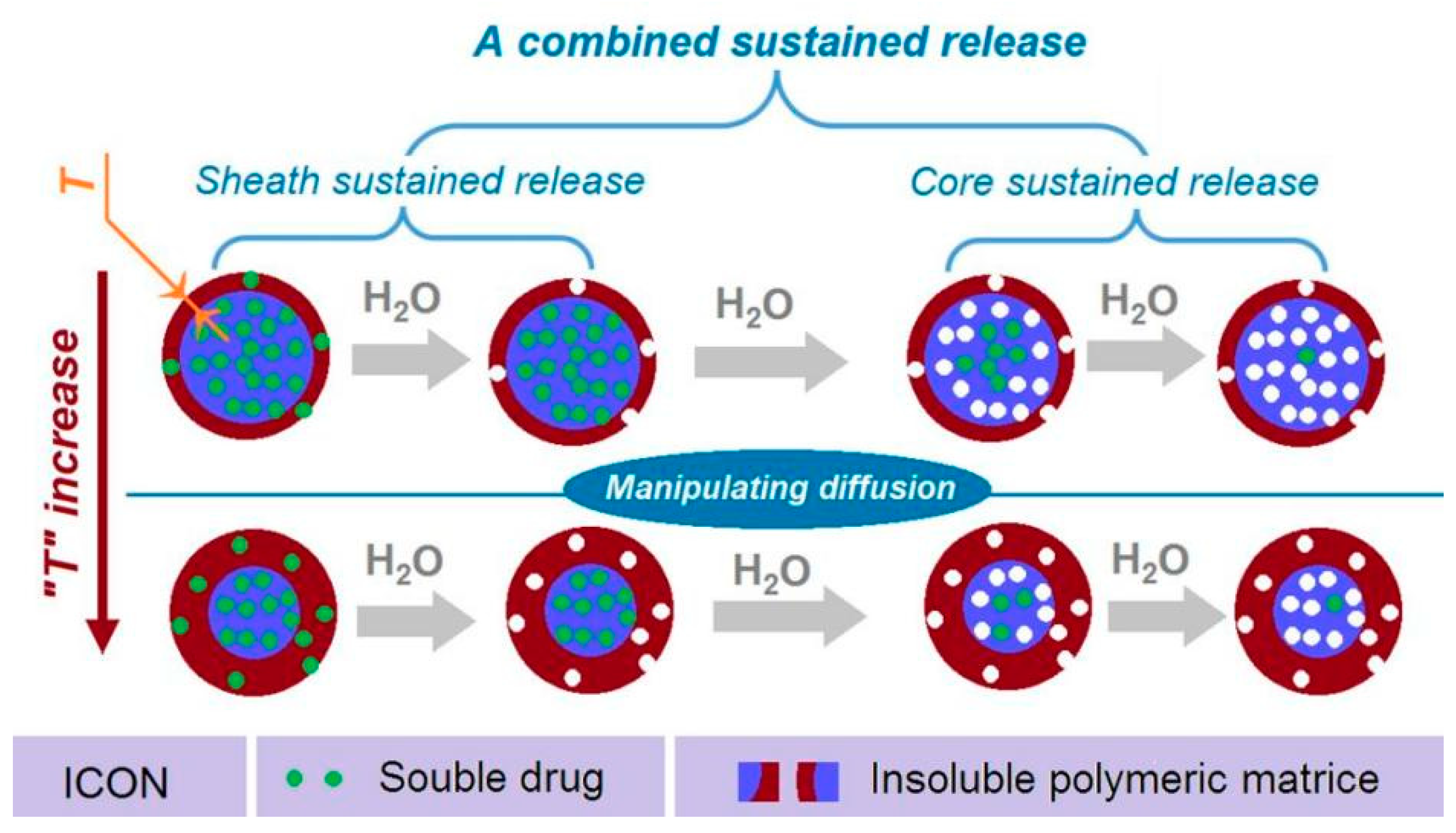 Biomolecules 11 01330 g010