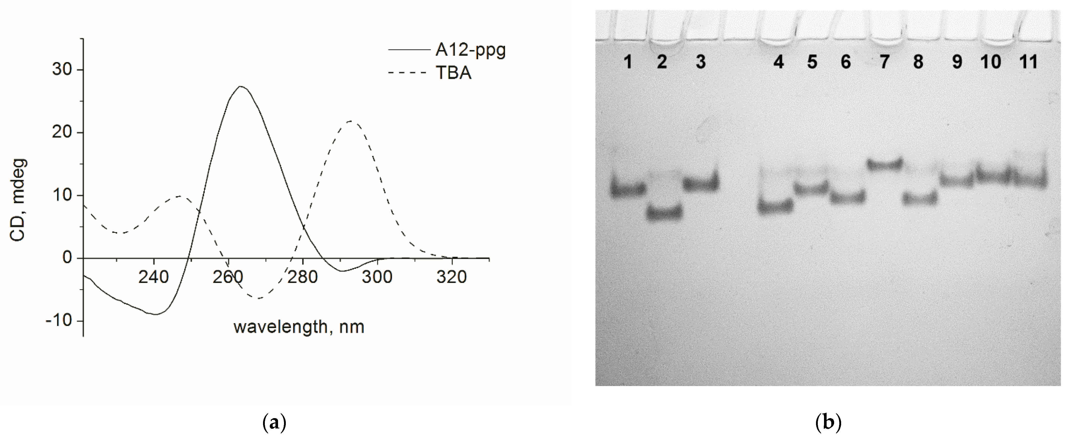 Biomolecules 11 01332 g001 Biomolecules 11 01332 g001