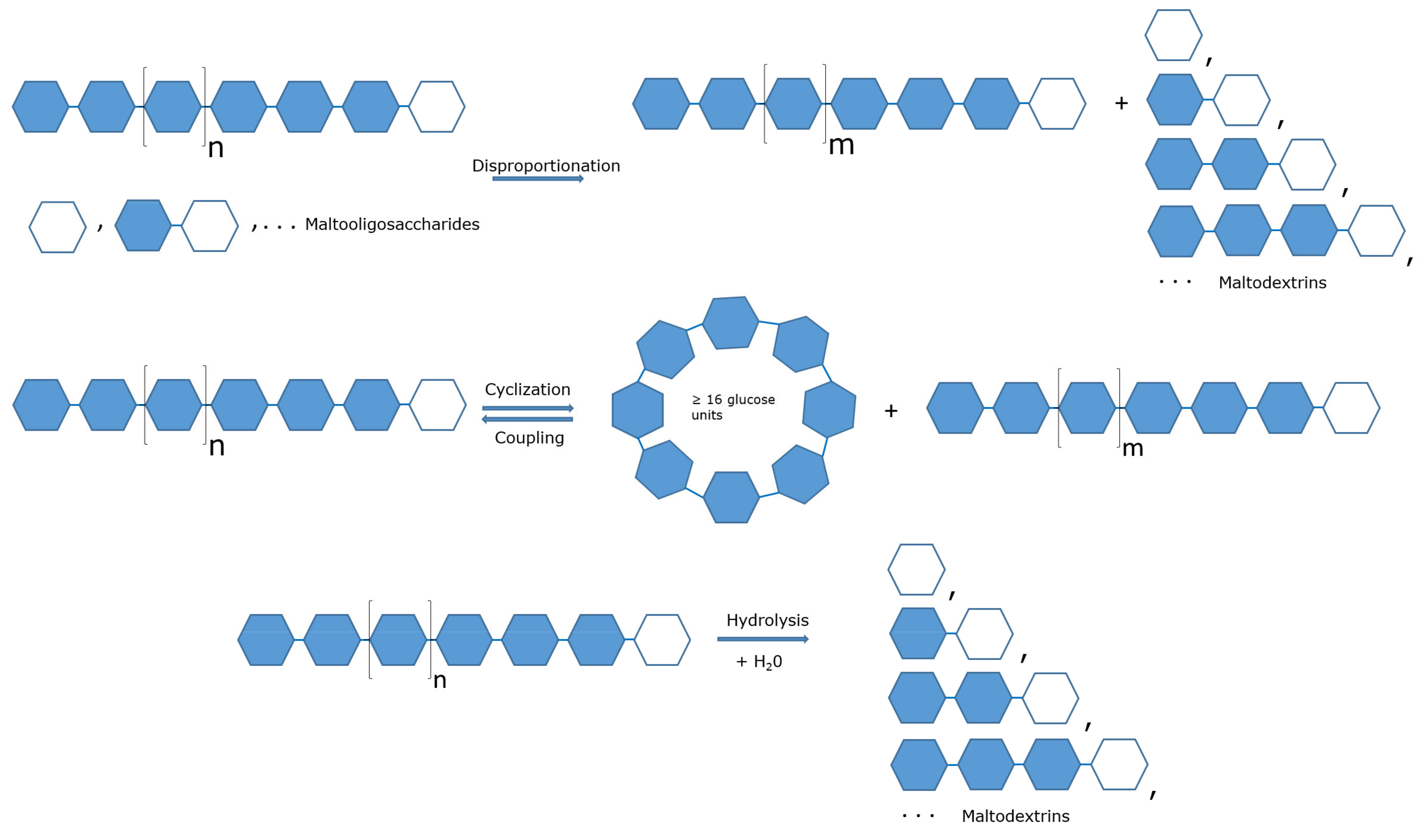 Biomolecules 11 01335 g001