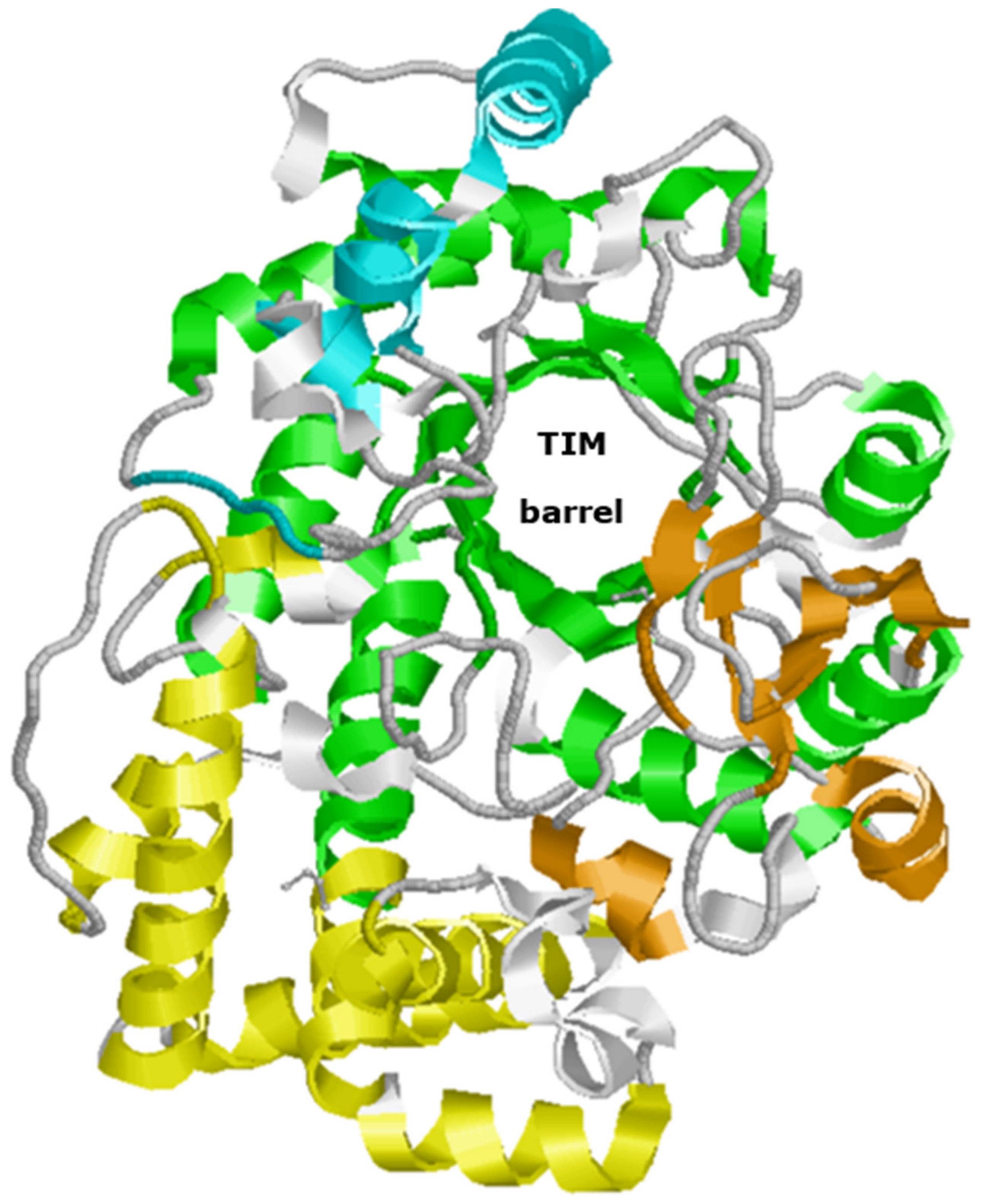 Biomolecules 11 01335 g002