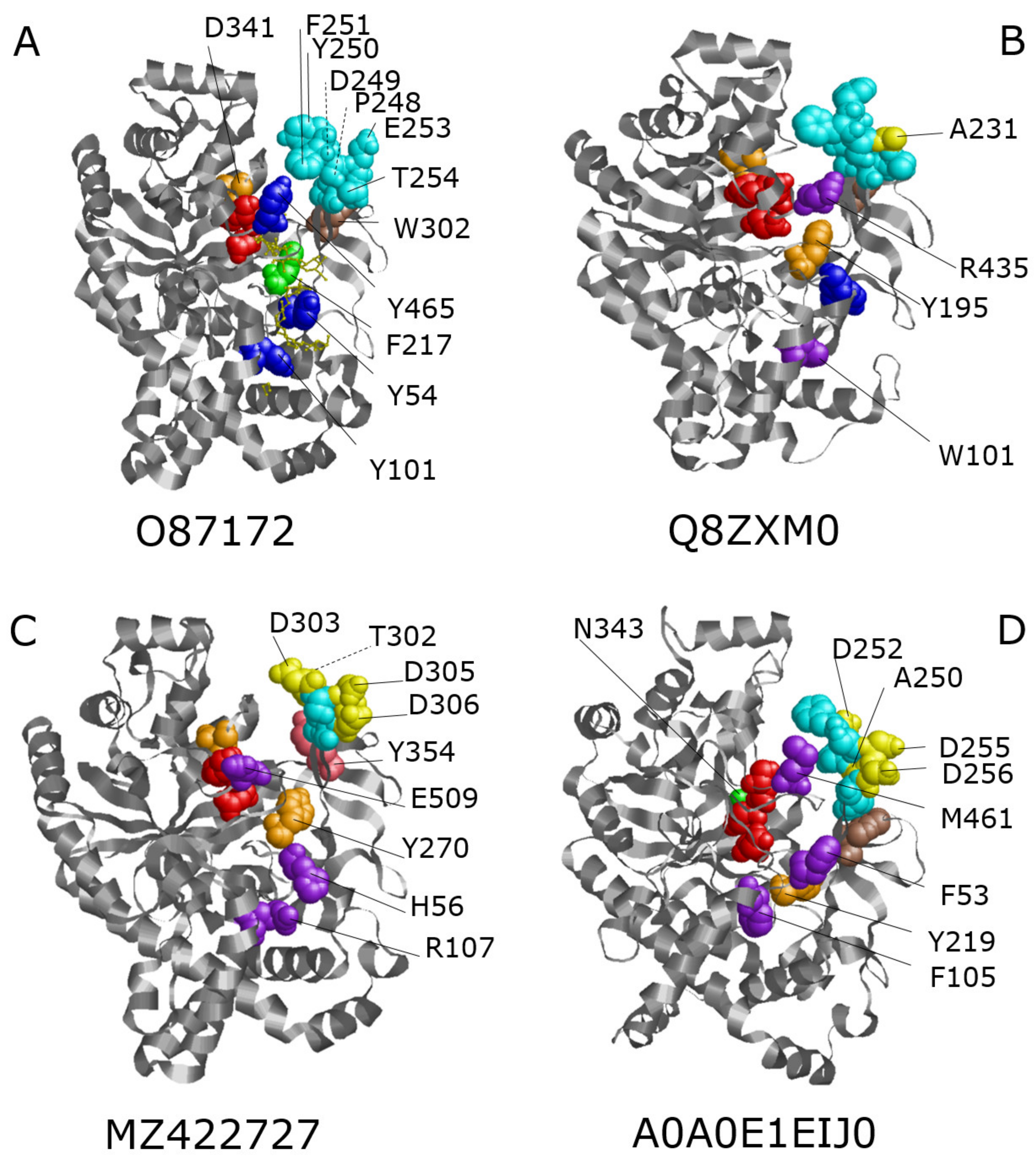 Biomolecules 11 01335 g006