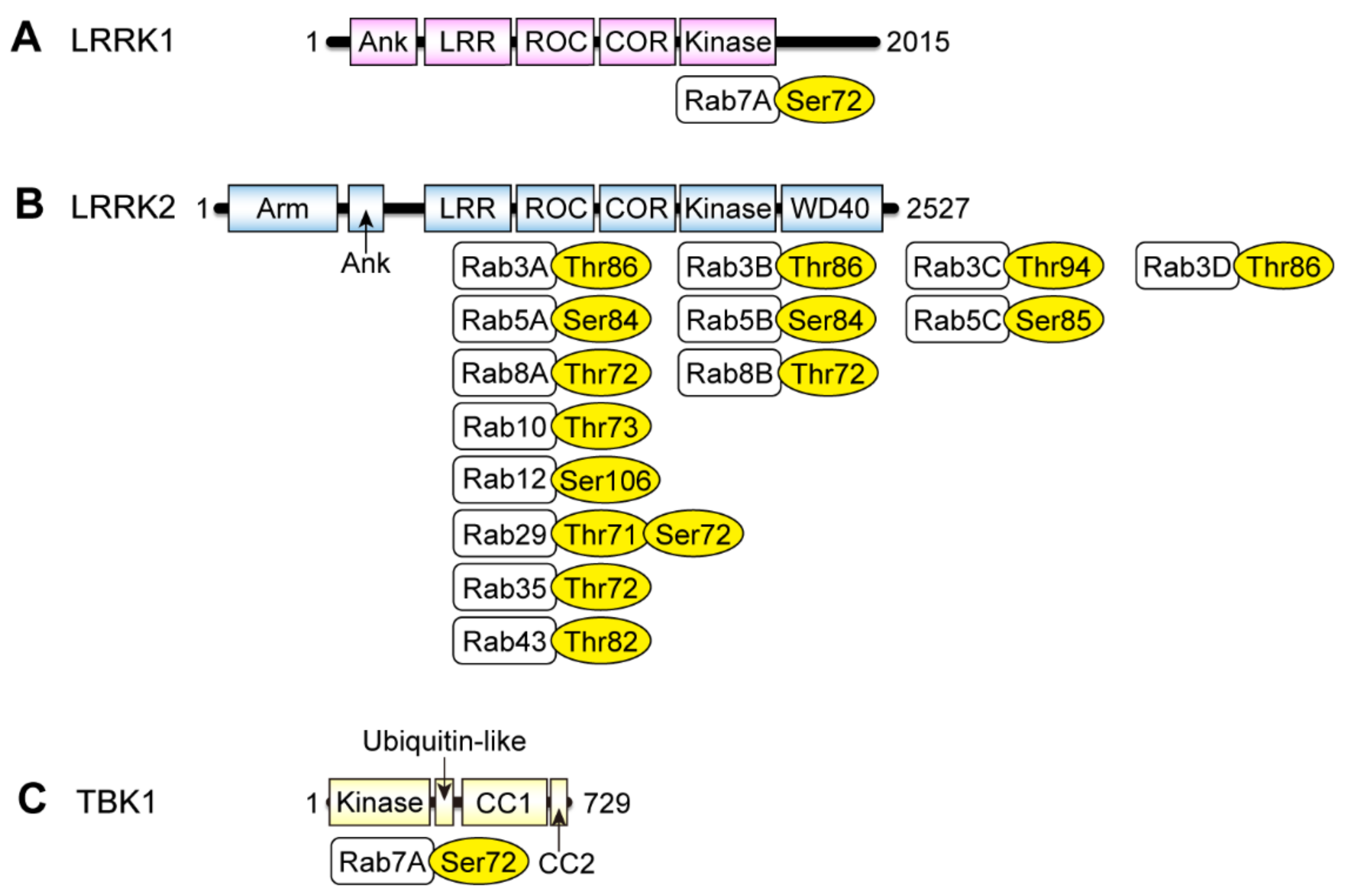 Biomolecules 11 01340 g002